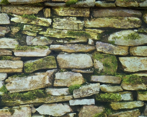 

Tapeta ścienna kamień z mchem 861105