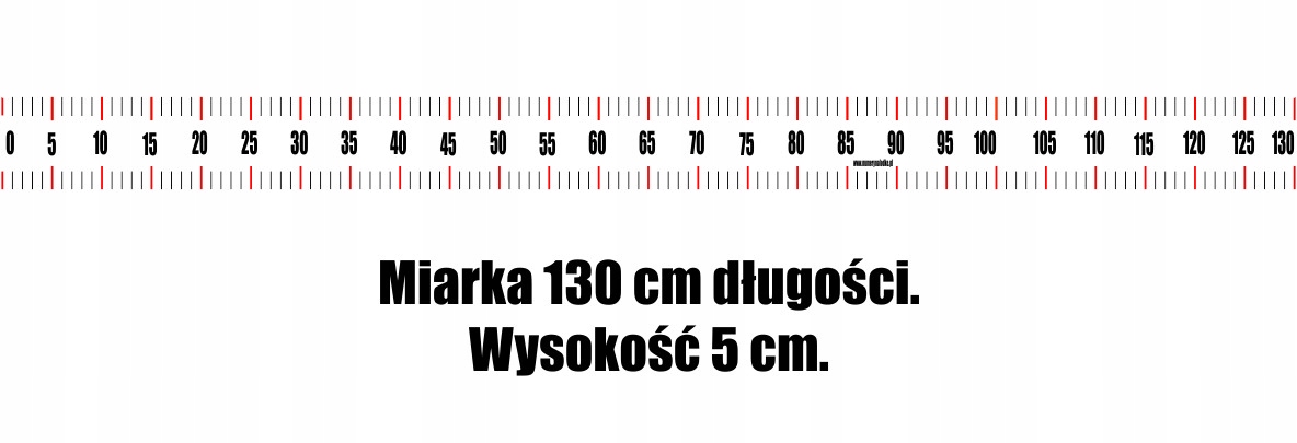 MIARKA wędkarska na łódkę 100x5 cm NAKLEJKA