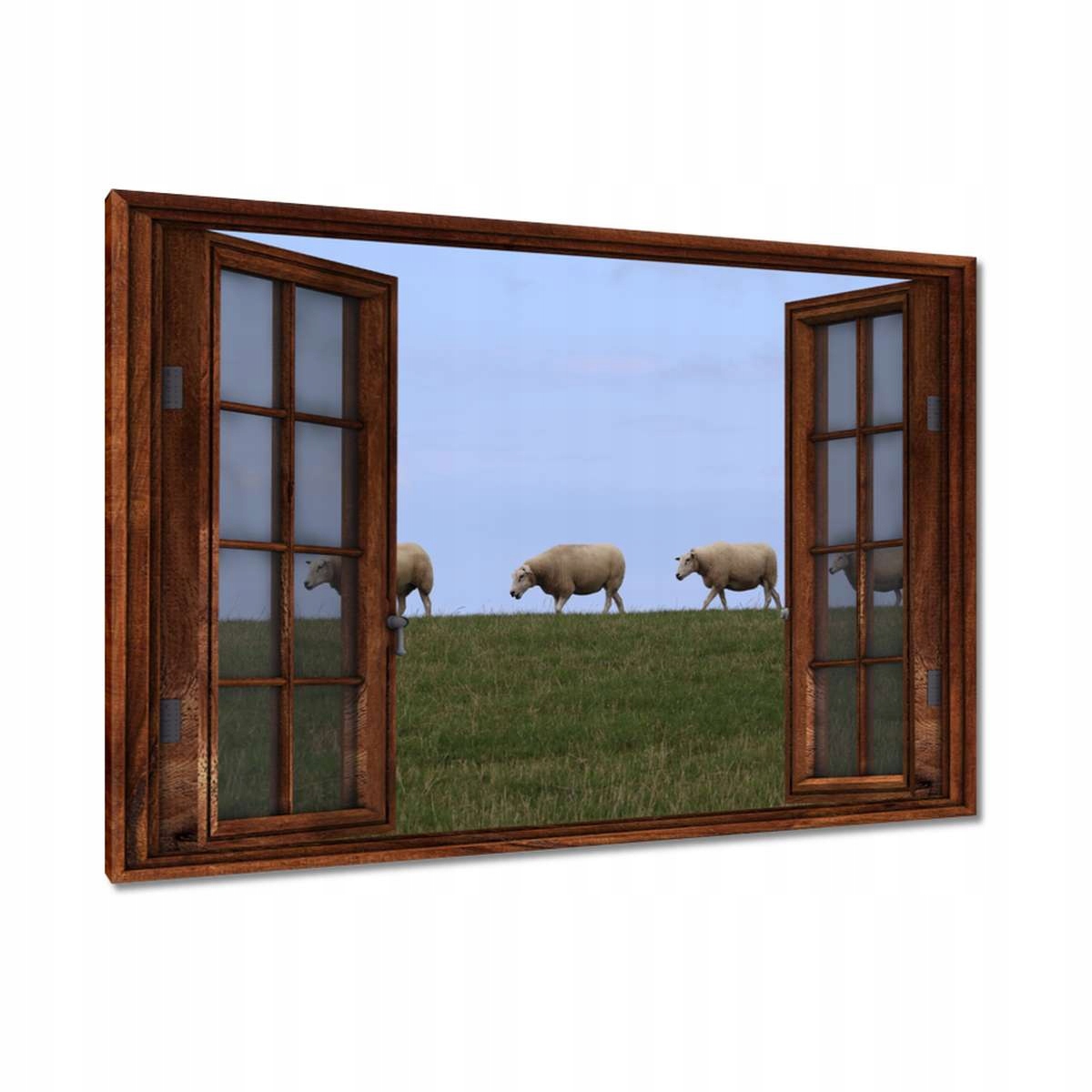 Obrazy 120x80 Vypasování ovcí Ovečky Ovce
