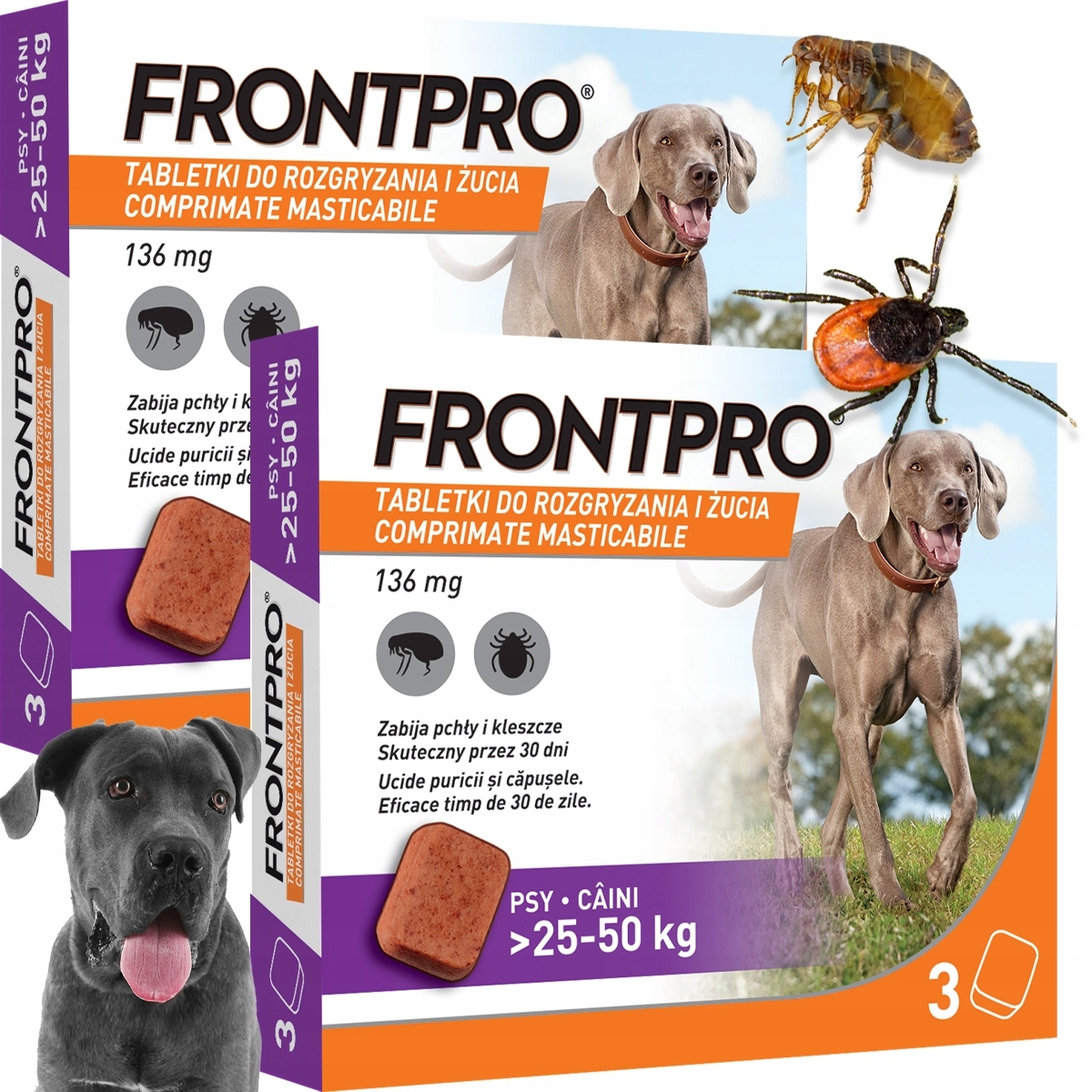 Frontpro Tabletki 6 sztuk na Kleszcze Pchły dla Psa 25-50 kg na 180 Dni