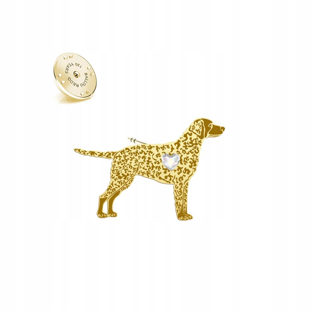 Odznak s Curly Coated Retriever 925 Šperky Dedikace Bonus