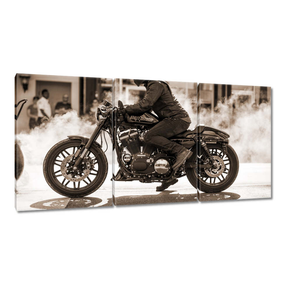 

Obrazy 120x60 Harley Davidson Motocykl