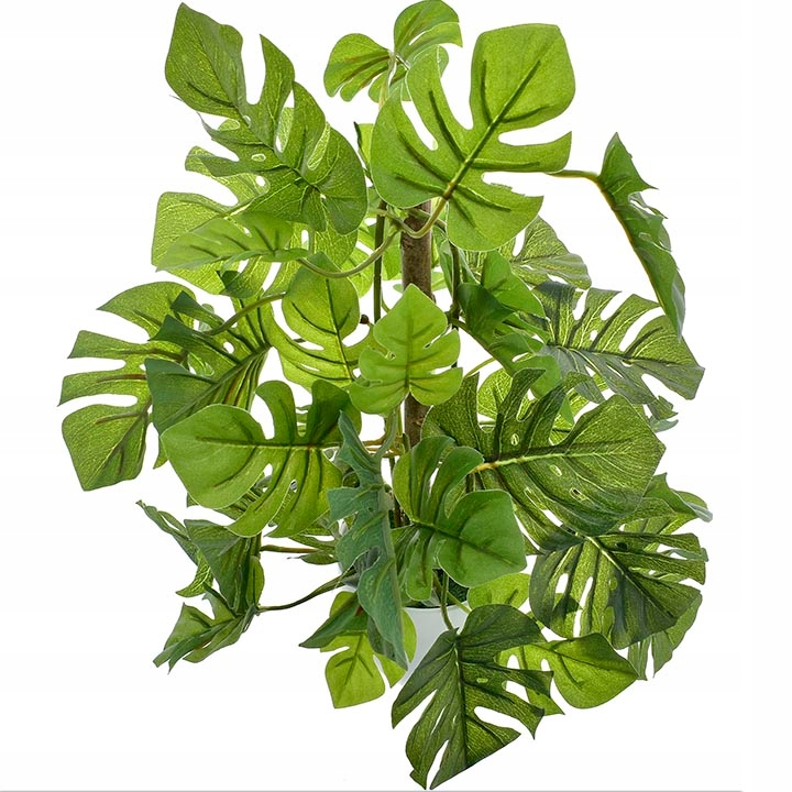 MONSTERA SZTUCZNA ROŚLINA DONICZCE KWIAT LIŚCIE 30 Marka Partner