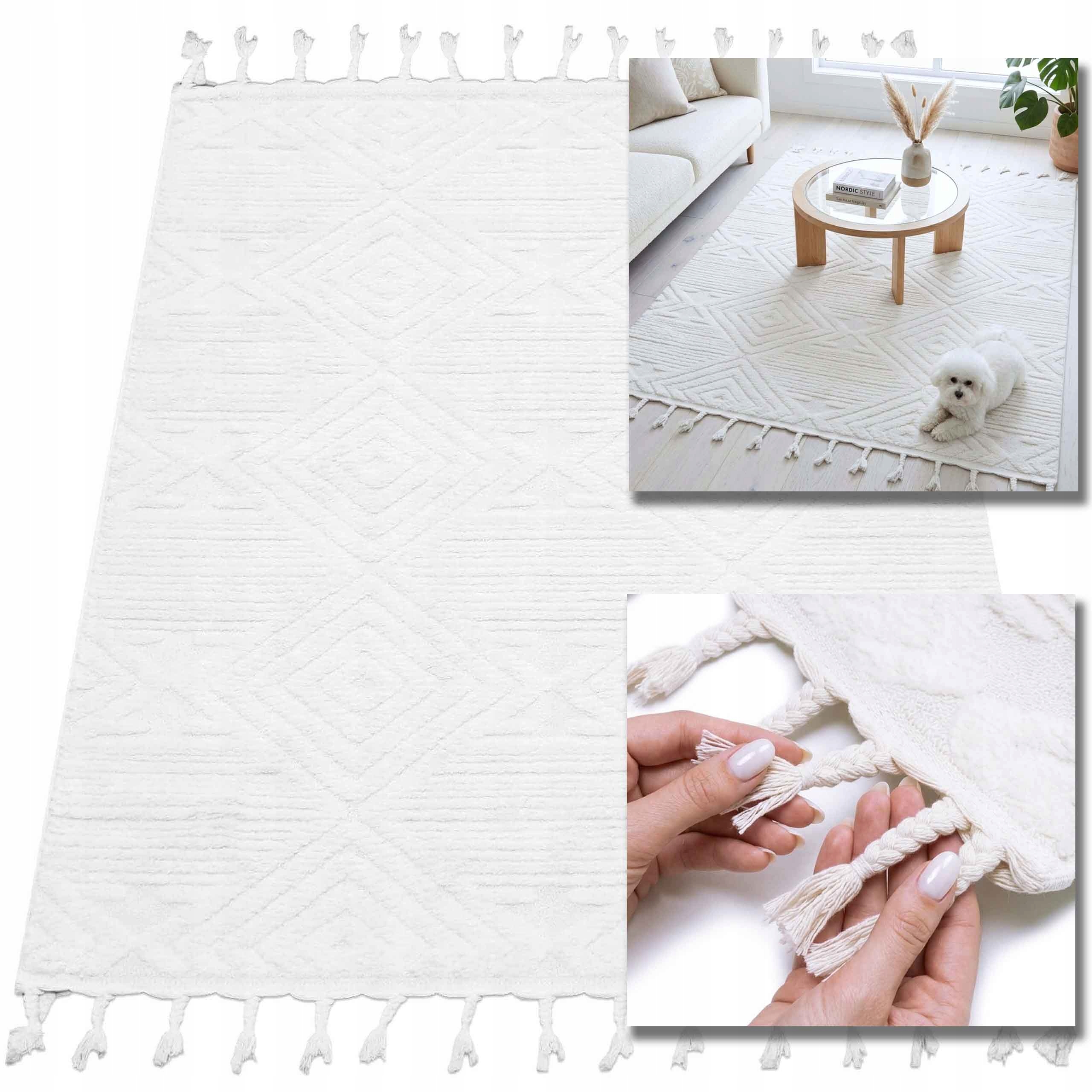 Koberec Shaggy Boho S Třásněmi Do Obývacího Pokoje Ložnice Skandinávský 100X150 3D