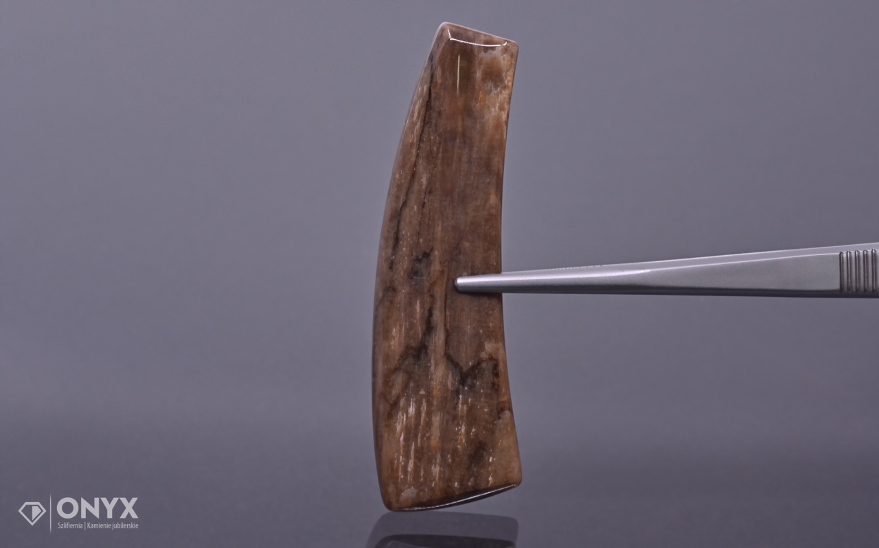 Dřevo zkamenělé konvexní nepravidelná dlažba 60x18 mm