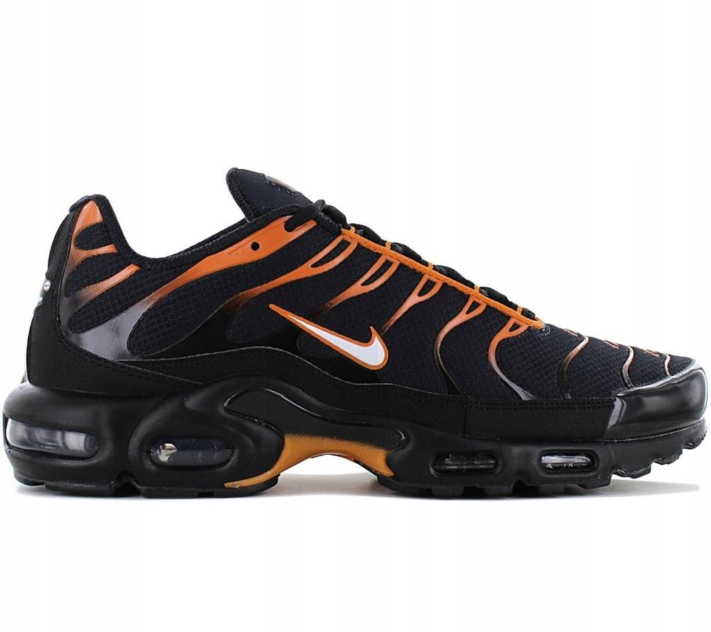 Pánské boty Nike Air Max Plus FN6949-400 Vel. 40,5