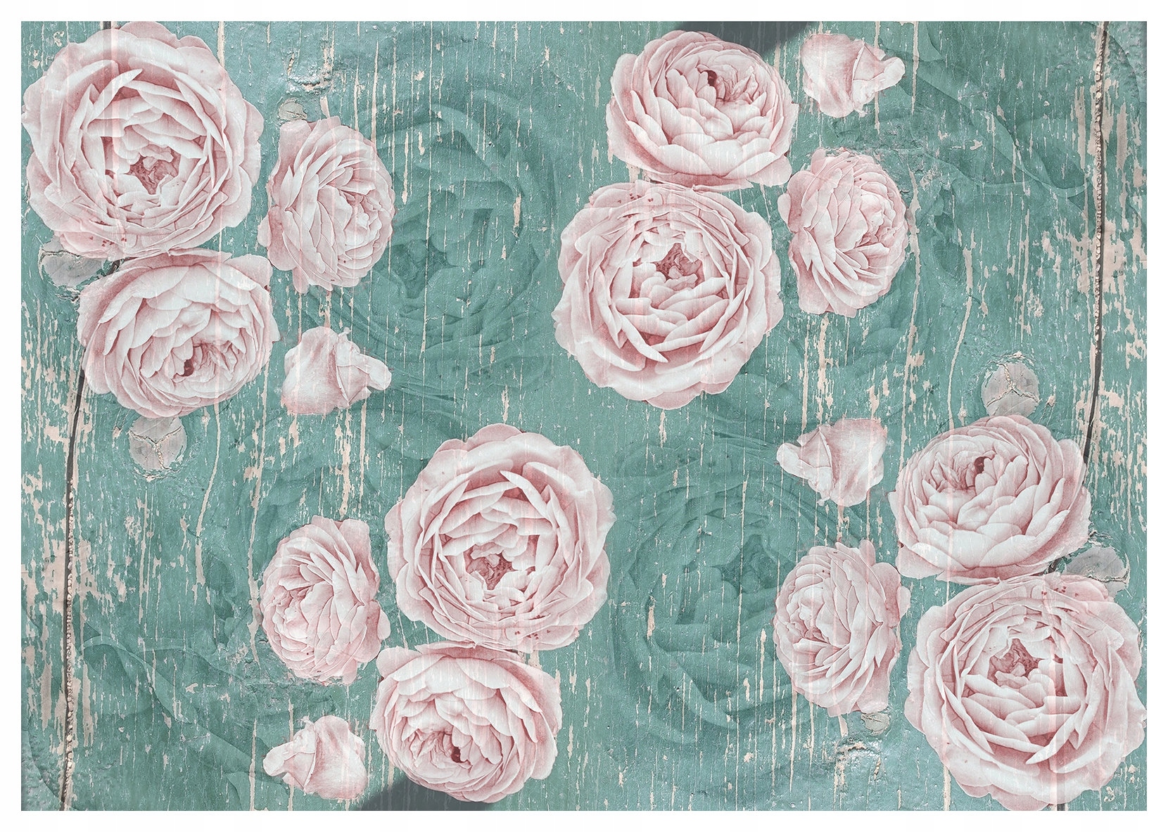 Fototapeta Vintage růže na provensálském dřevě 400x280 lepidlo