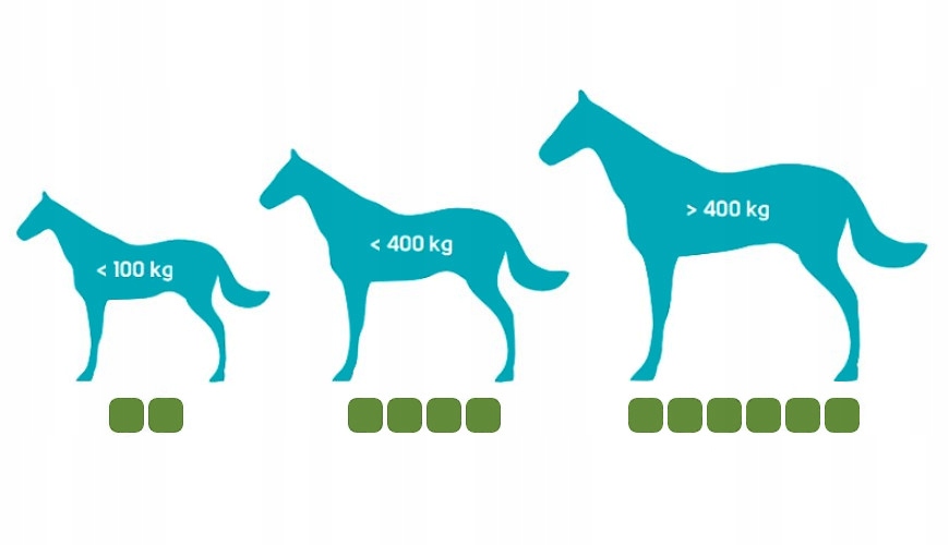 GELOREN Horse HA 450g - ŻELKI DLA KONI jabłkowe na stawy kolagen 60 szt. Rodzaj żelki