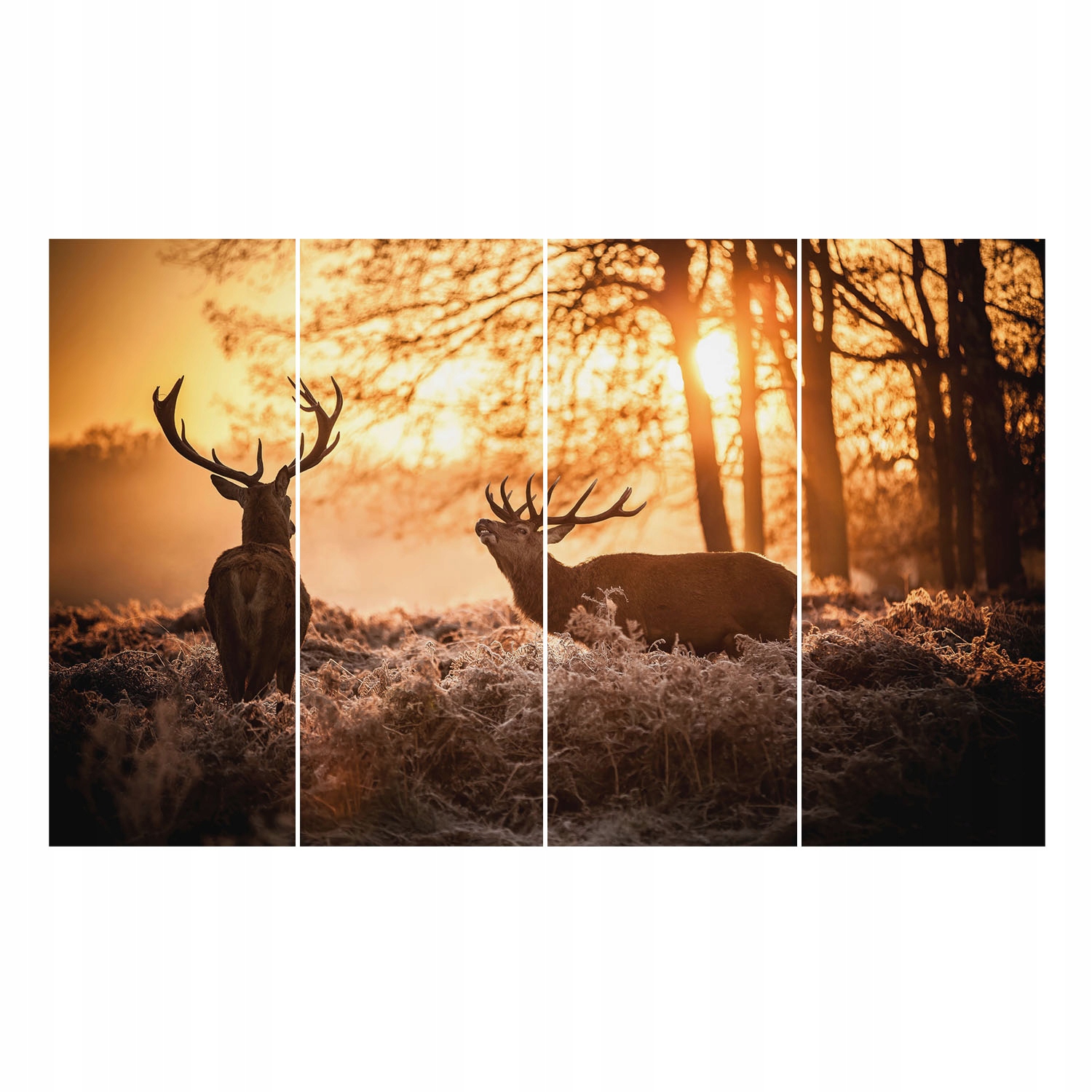 Stylová dekorativní fototapeta na jelení flizelině po ránu 416 x 254 cm