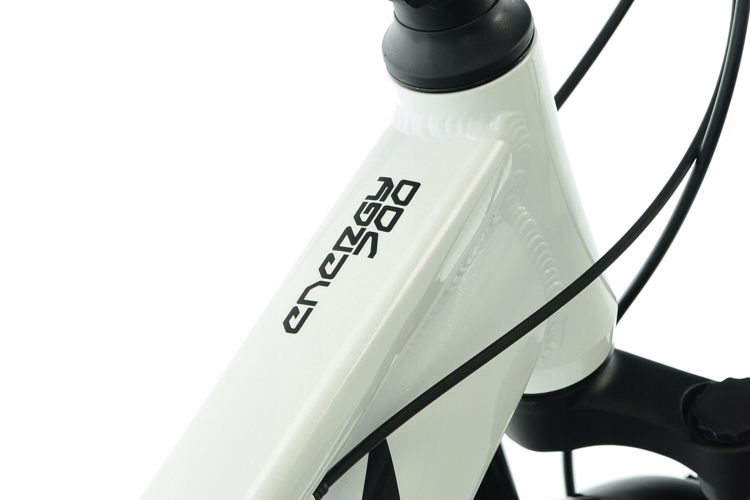 Rower MTB Kands 29 Energy 700 r19