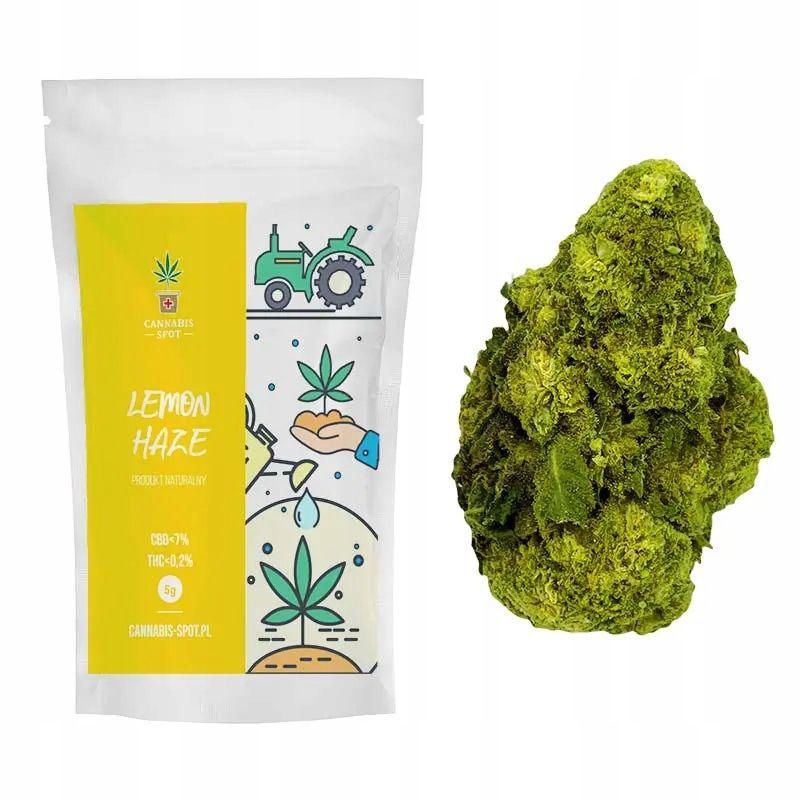 

Lemon Haze Susz Konopny Cbd <6,5% 1g