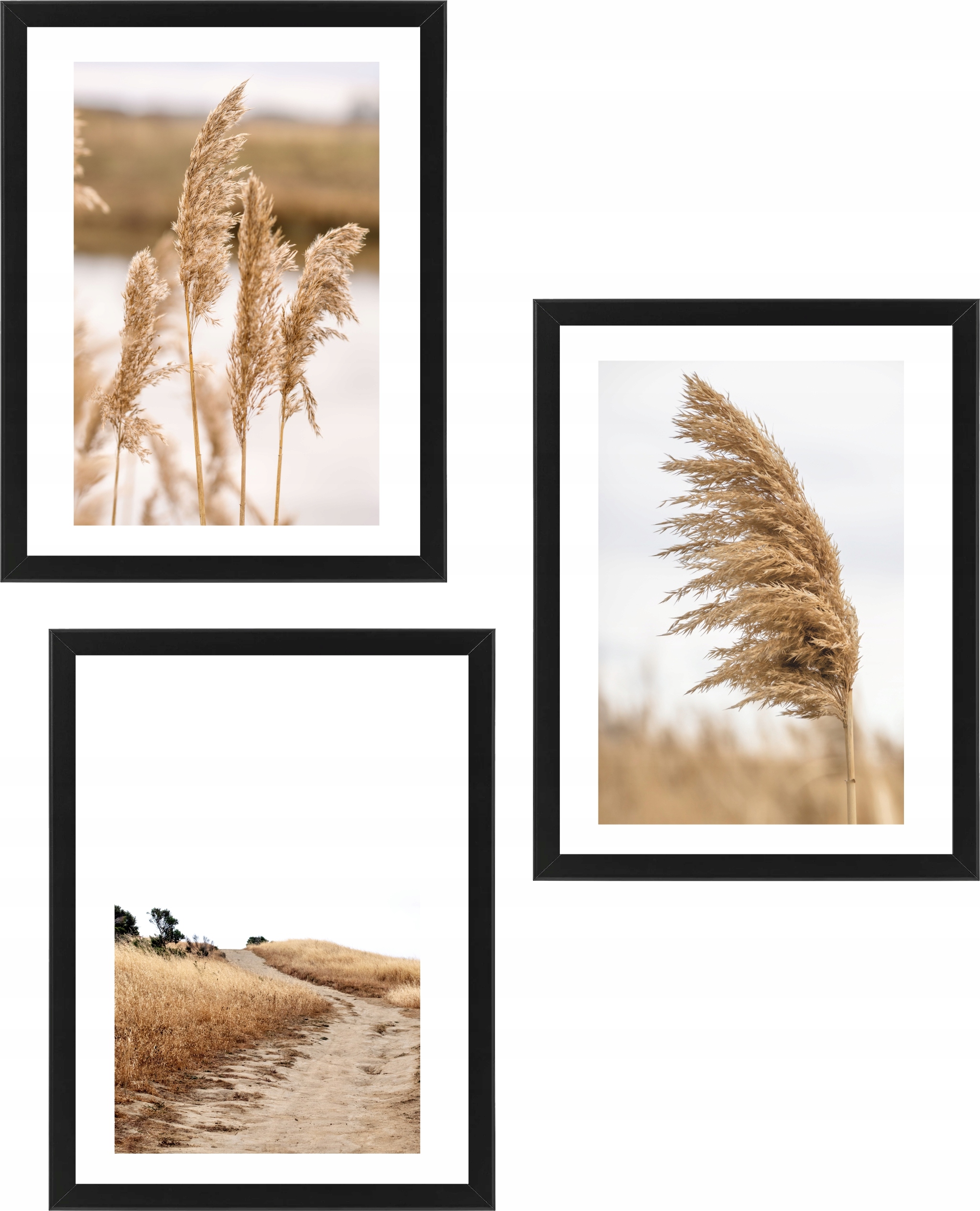 

3 obrazy do salonu w czarnych ramach.