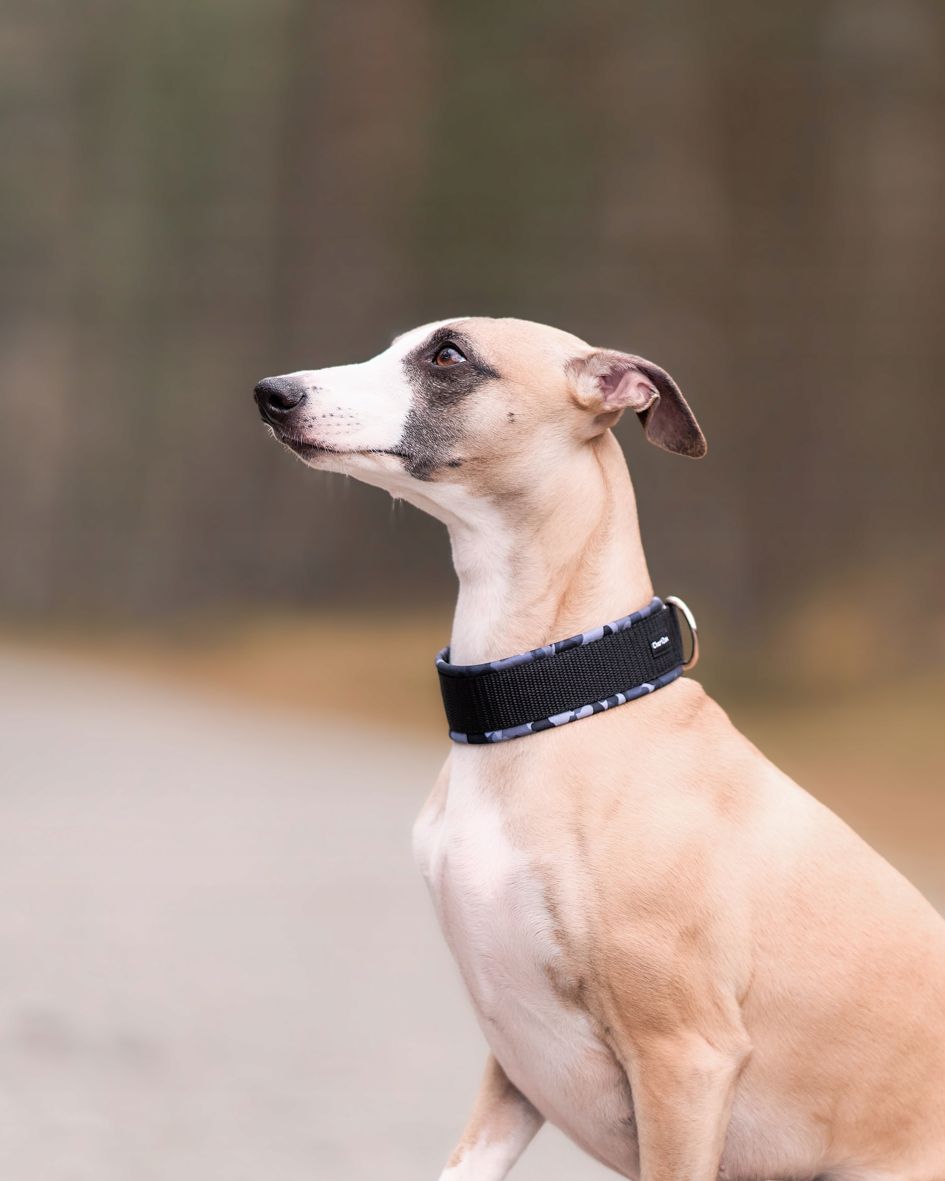 Levně Polostahovací obojek – softshell „Black Camo“ 3 cm