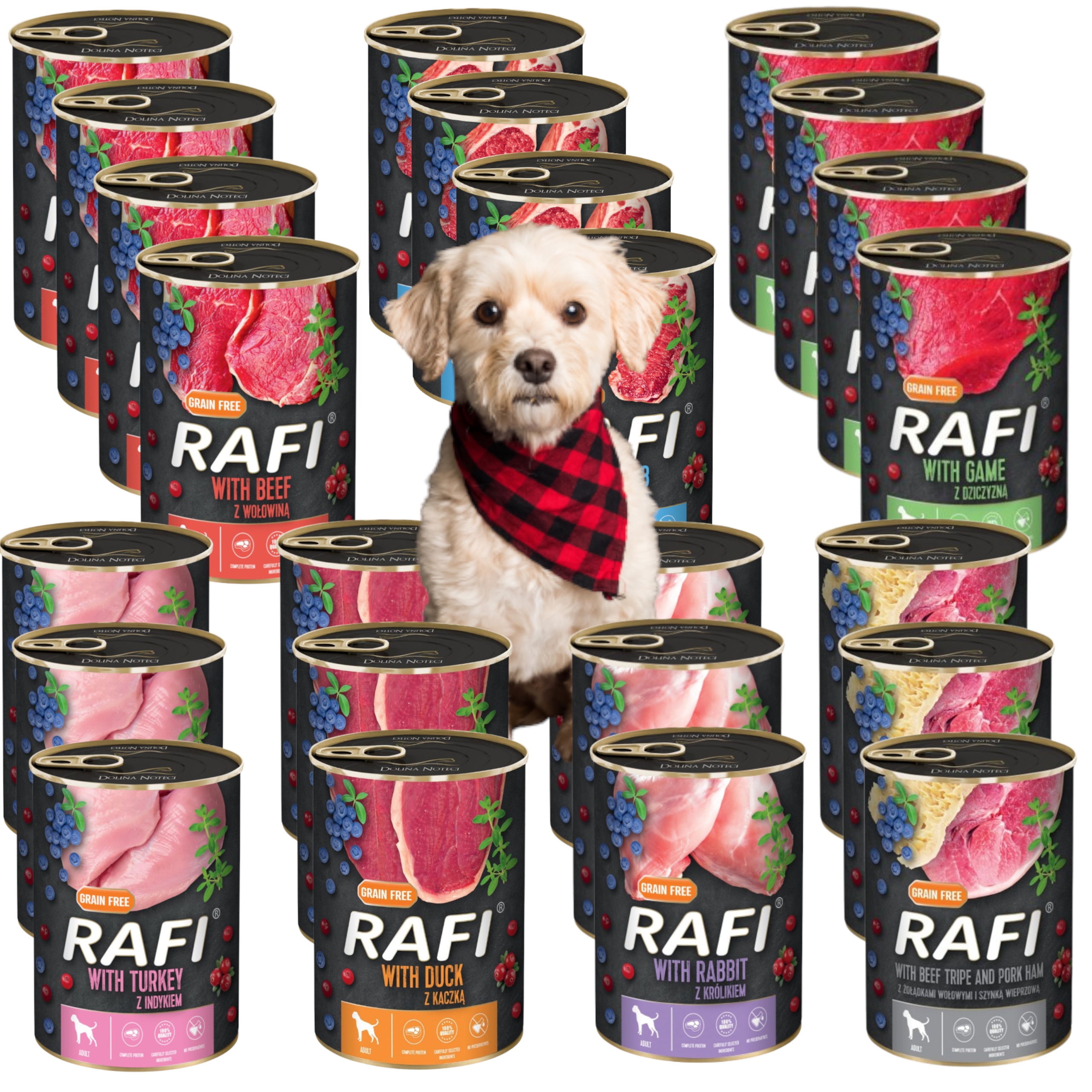 Rafi karma dla psa mix smaków 24x400g