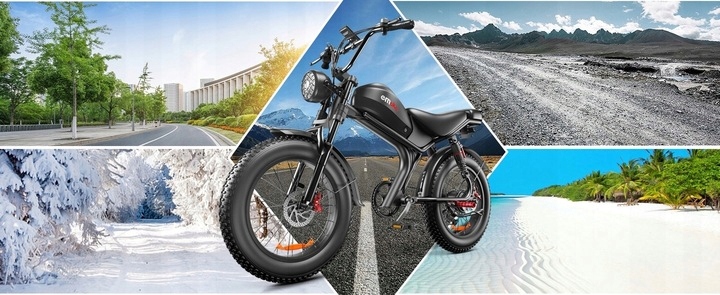 Rower elektryczny terenowy 1500 W 48 V 20AH 55 KM/h Hamulec olejowy 20 ”* 4,0” Gruba opona Rozmiar koła (