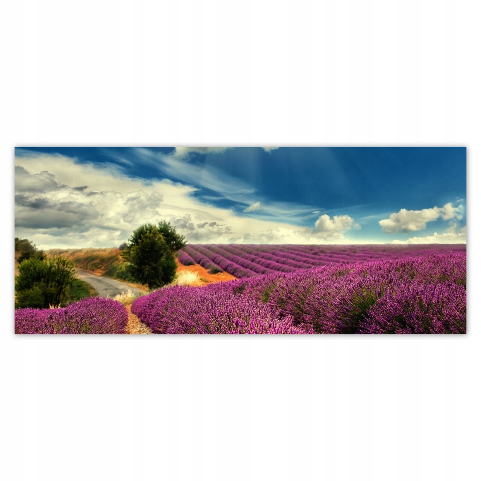 

Fototapety flizelina 250x104 Lawendowy pejzaż