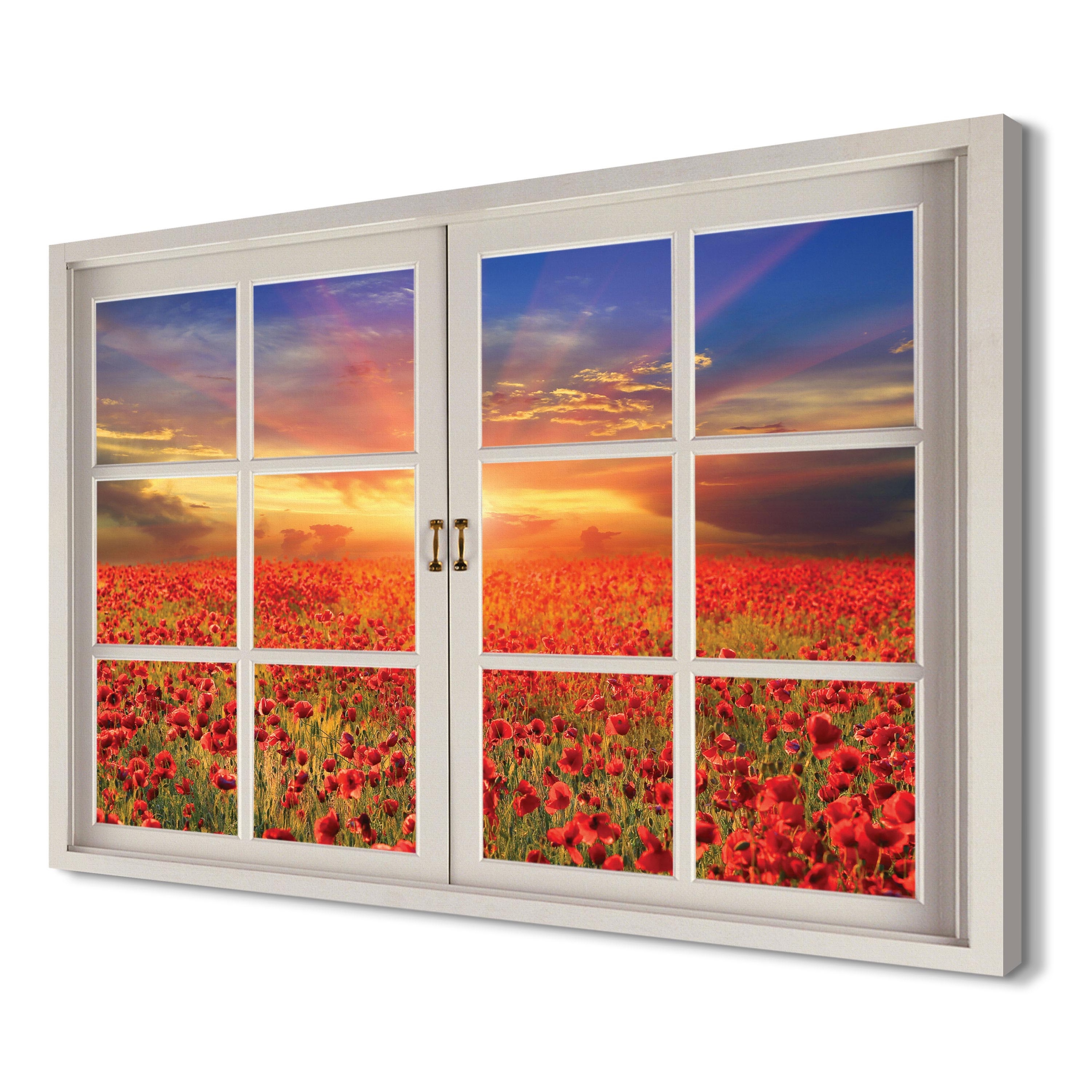 

Pole Maki do wnętrz 120x80 Obrazy drukowane canvas