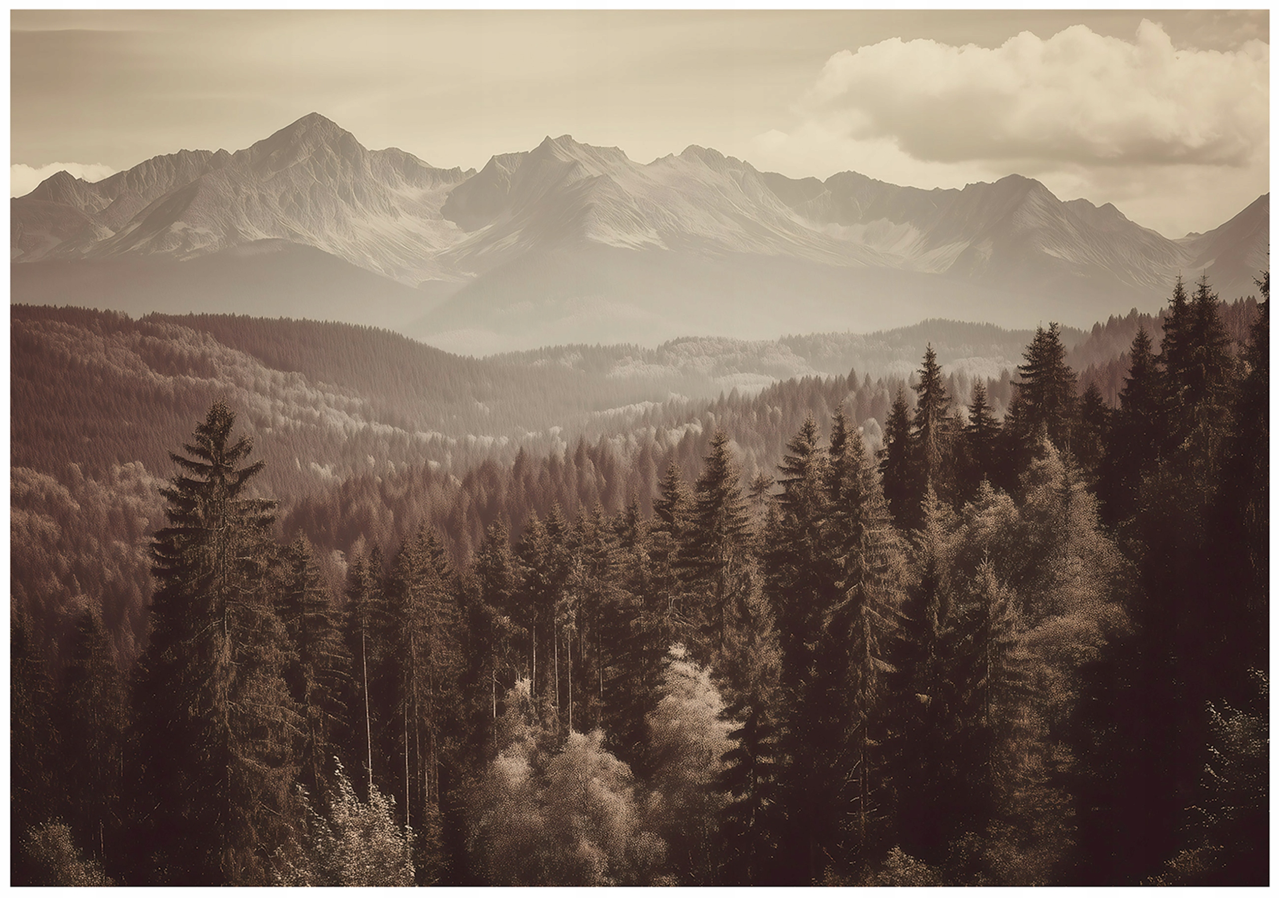 Fototapeta Krajina Hory Béžová Sepia Les Stromy Příroda Pohled 200x140