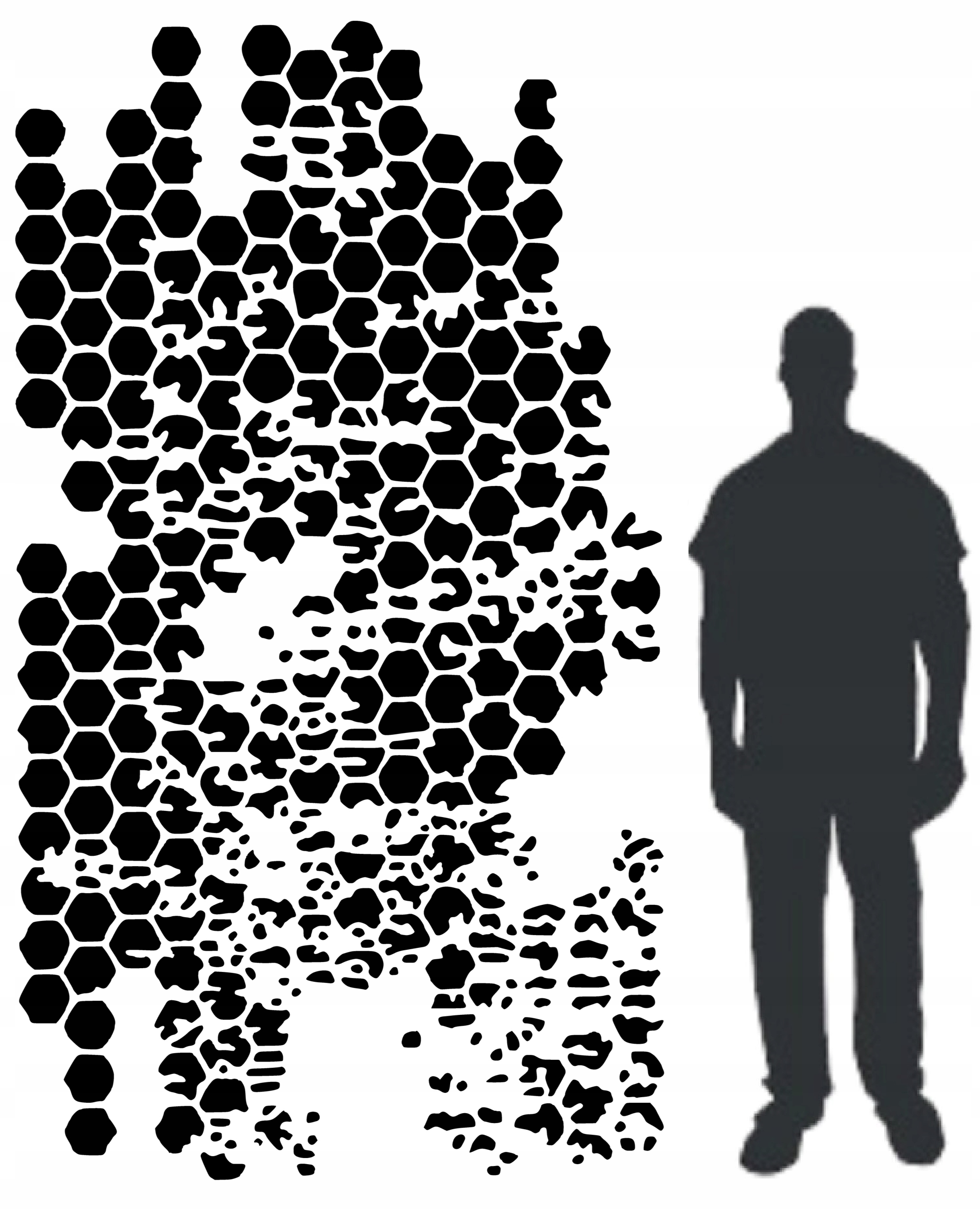 Omítací malířská šablona 250x120 velkoformátový architektonický beton