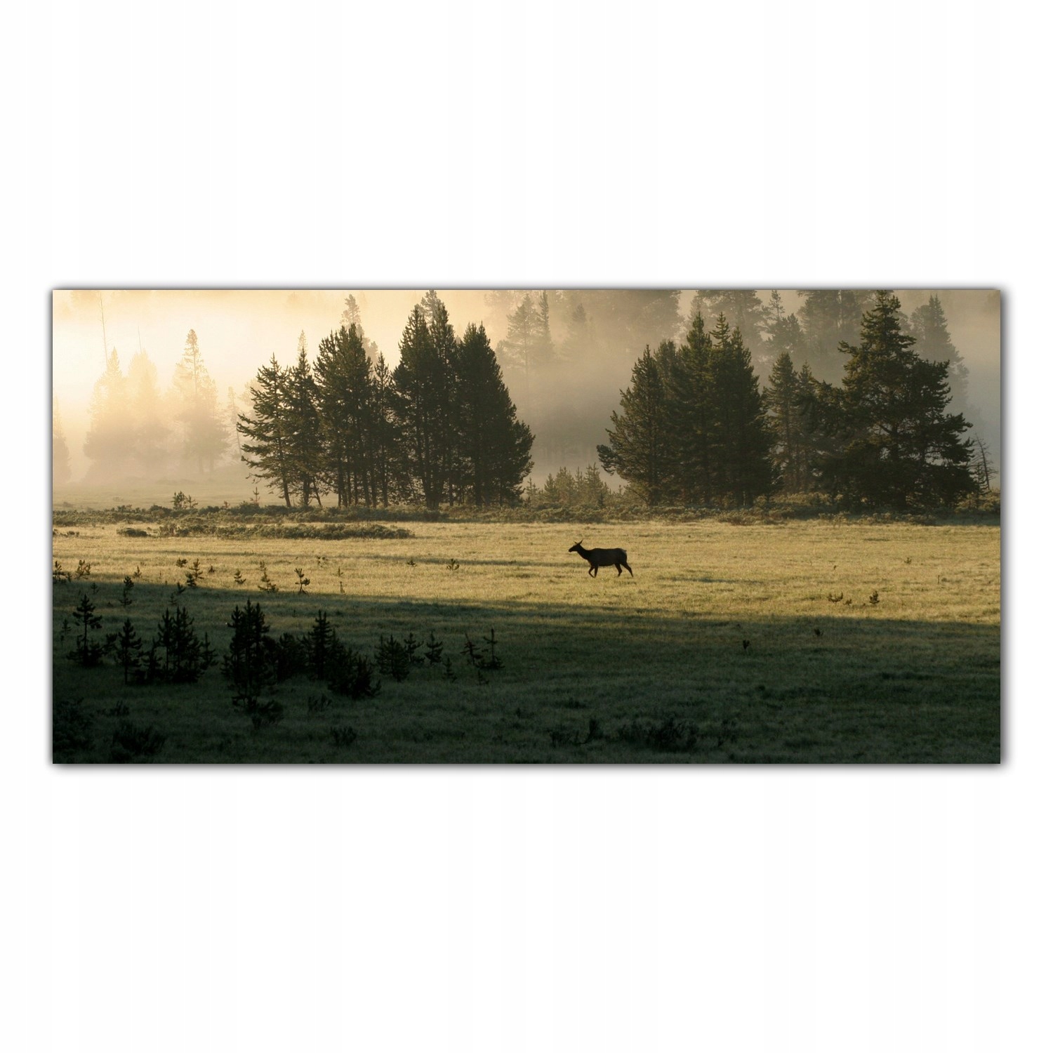 

Obraz Szklany Foto-obraz Jeleń Krajobraz 100x50