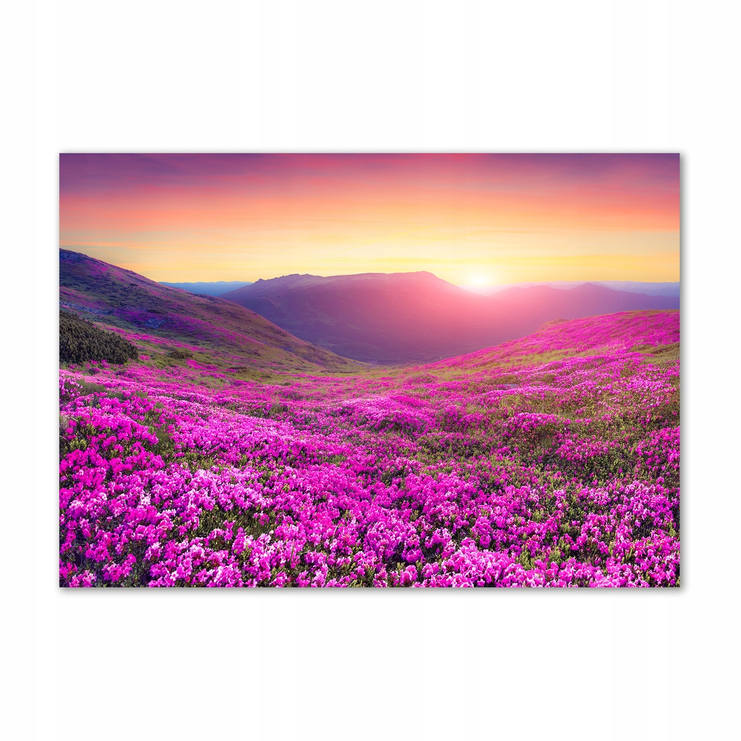 

Foto obraz szkło akryl Różowe wzgórza 100x70 cm