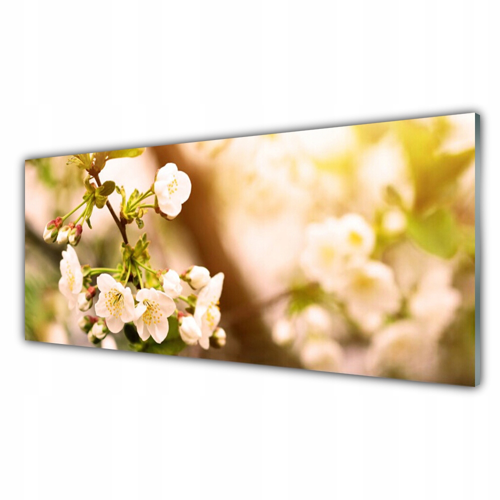

Fotoobraz z grafiką 125x50 Kwiaty Roślina Natura