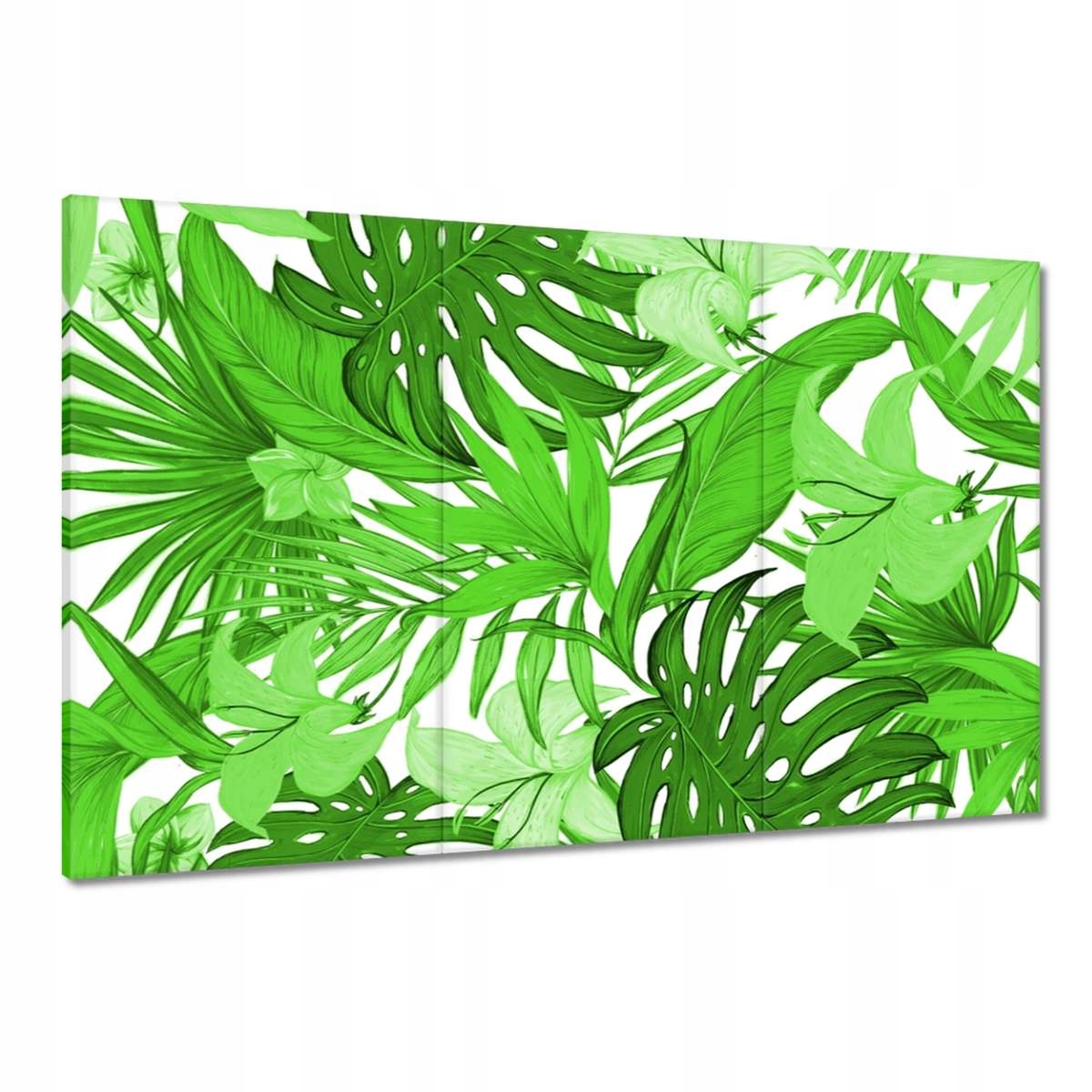 Obrazy 120x80 Leaves Monstera Nový vzhled