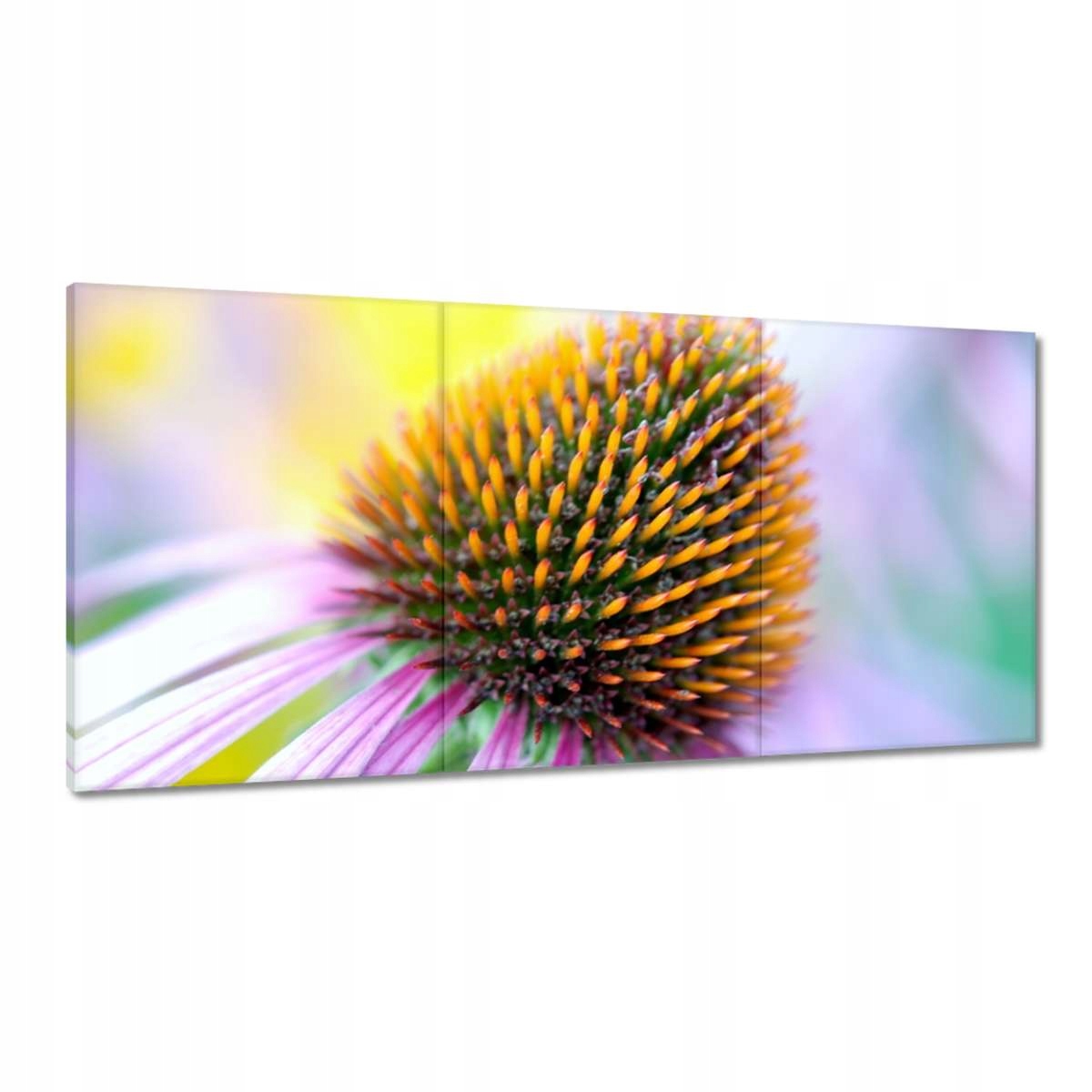 Obrazy 180x90 Úžasné farby