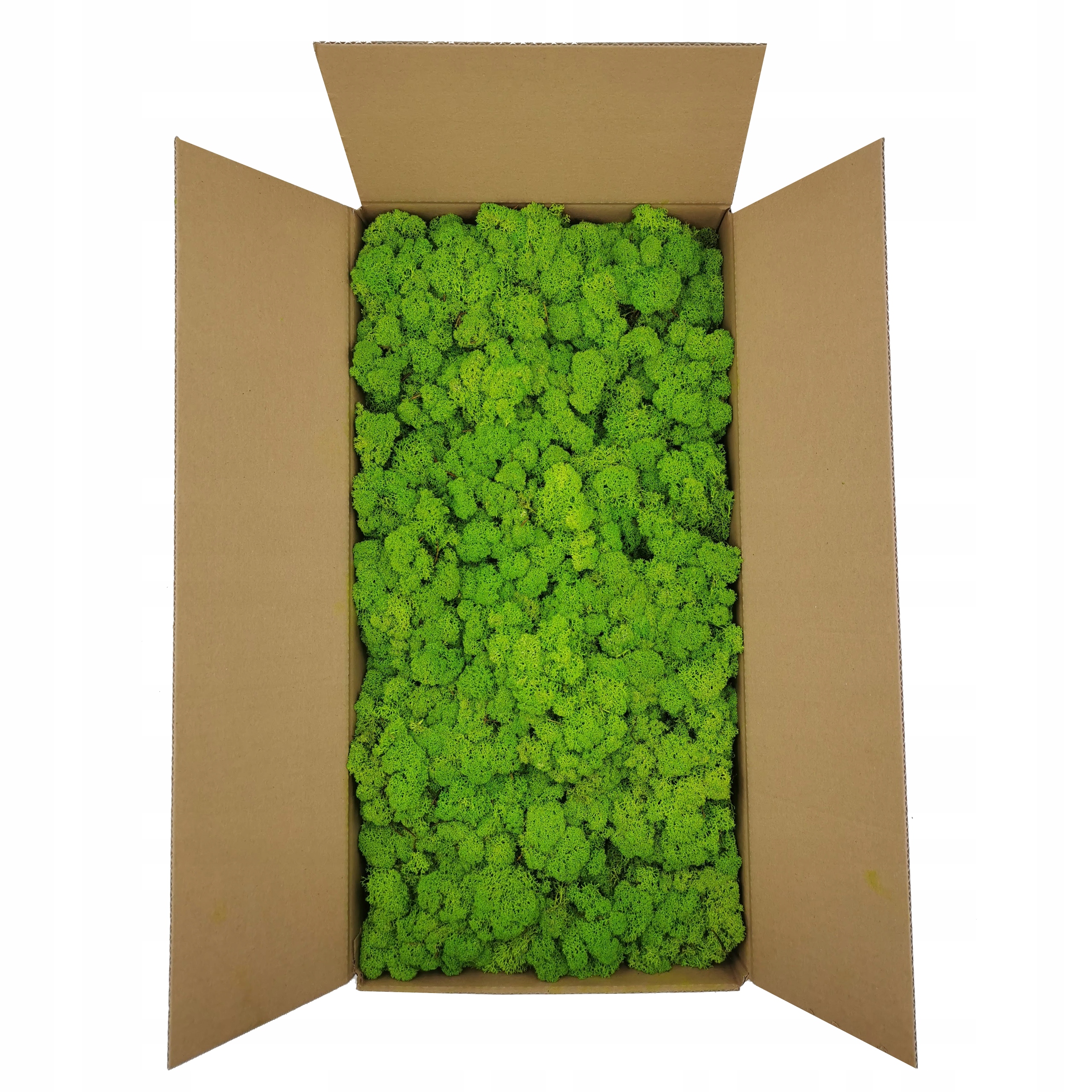 

2kg netto Mech Chrobotek Oczyszczony Premium Jasny