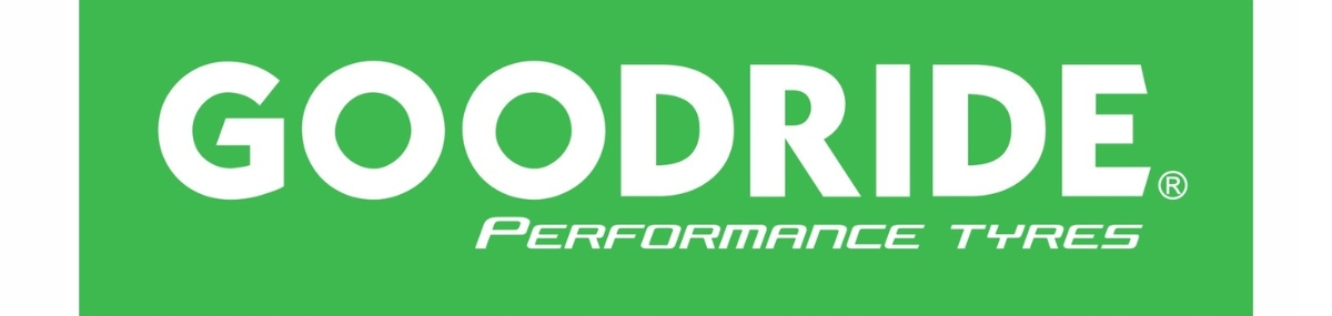 2x 225/65R16C GOODRIDE SW612 112/110R ZIMOWE ROK 2025 Model SW612