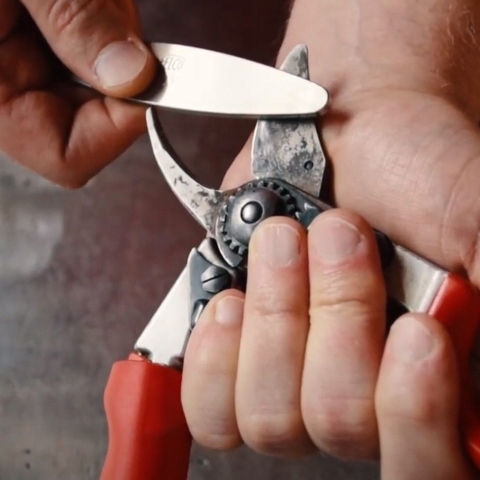 Osełka diamentowa Felco 903 - ostrzałka