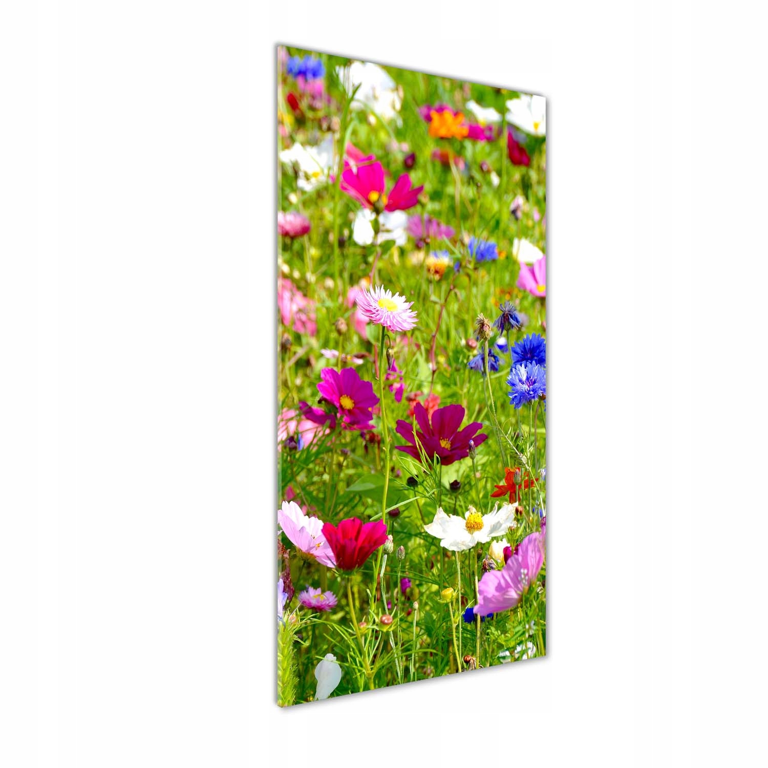 

Nowoczesny fotoobraz akrylowy Polne kwiaty 50x125