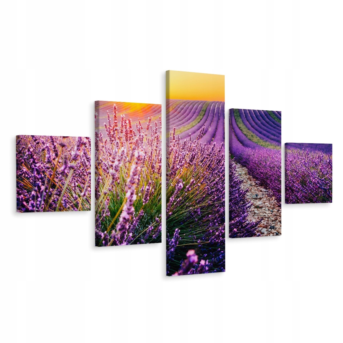 Obraz 5-Częściowy Lawendowe Pole Pejzaż 3D 250x150