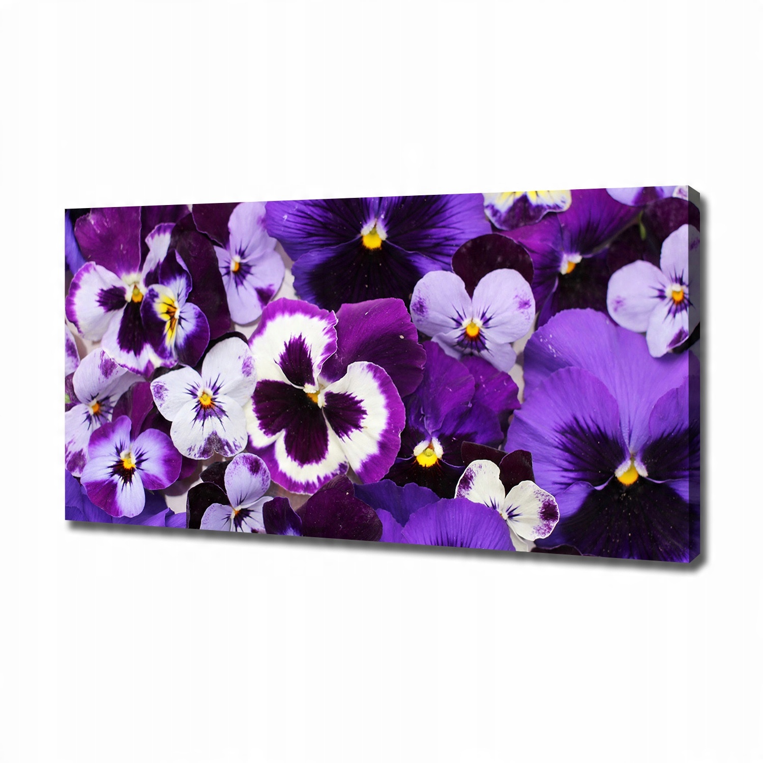 

Duży foto obraz na ścianę canvas Bratki 120x60 cm