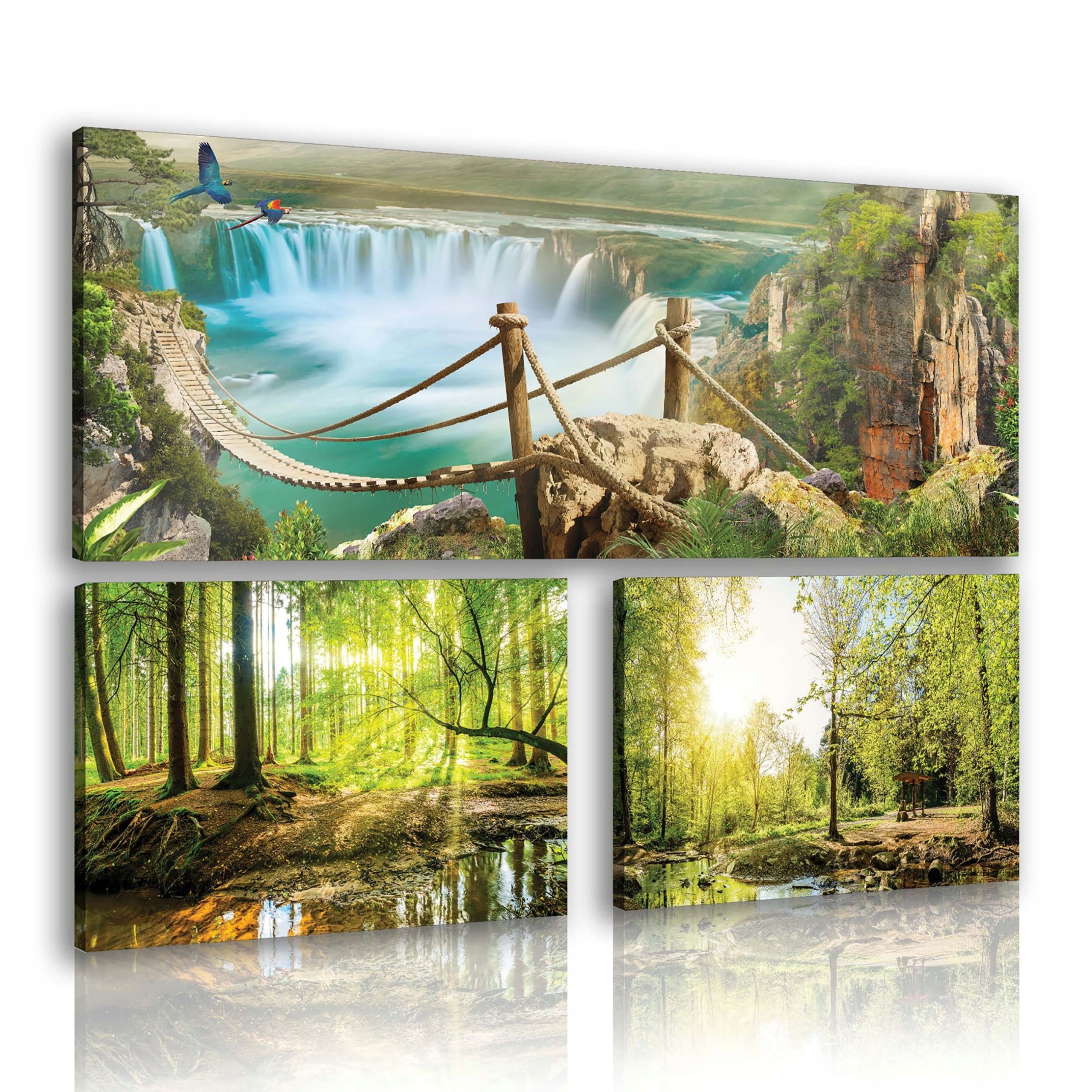 Obraz 80x55 Příroda vodopád les most tropy zeleň slunce klid