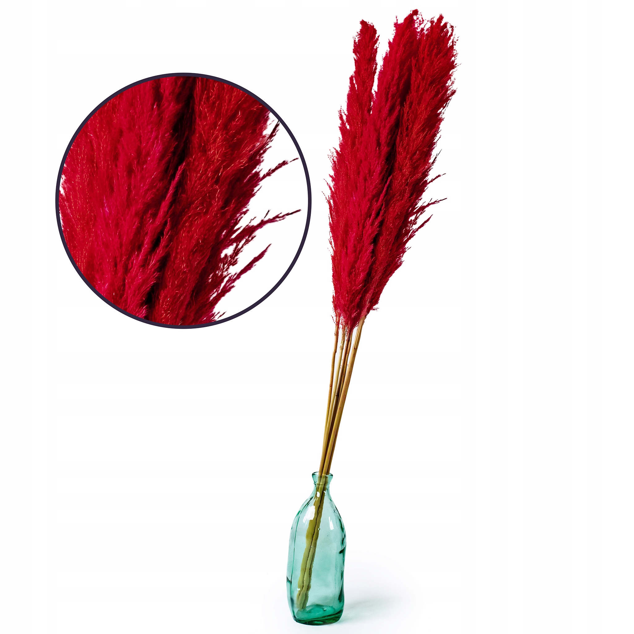 

Trawa Pampasowa Suszona Wazonu Ozdobna Pampasy