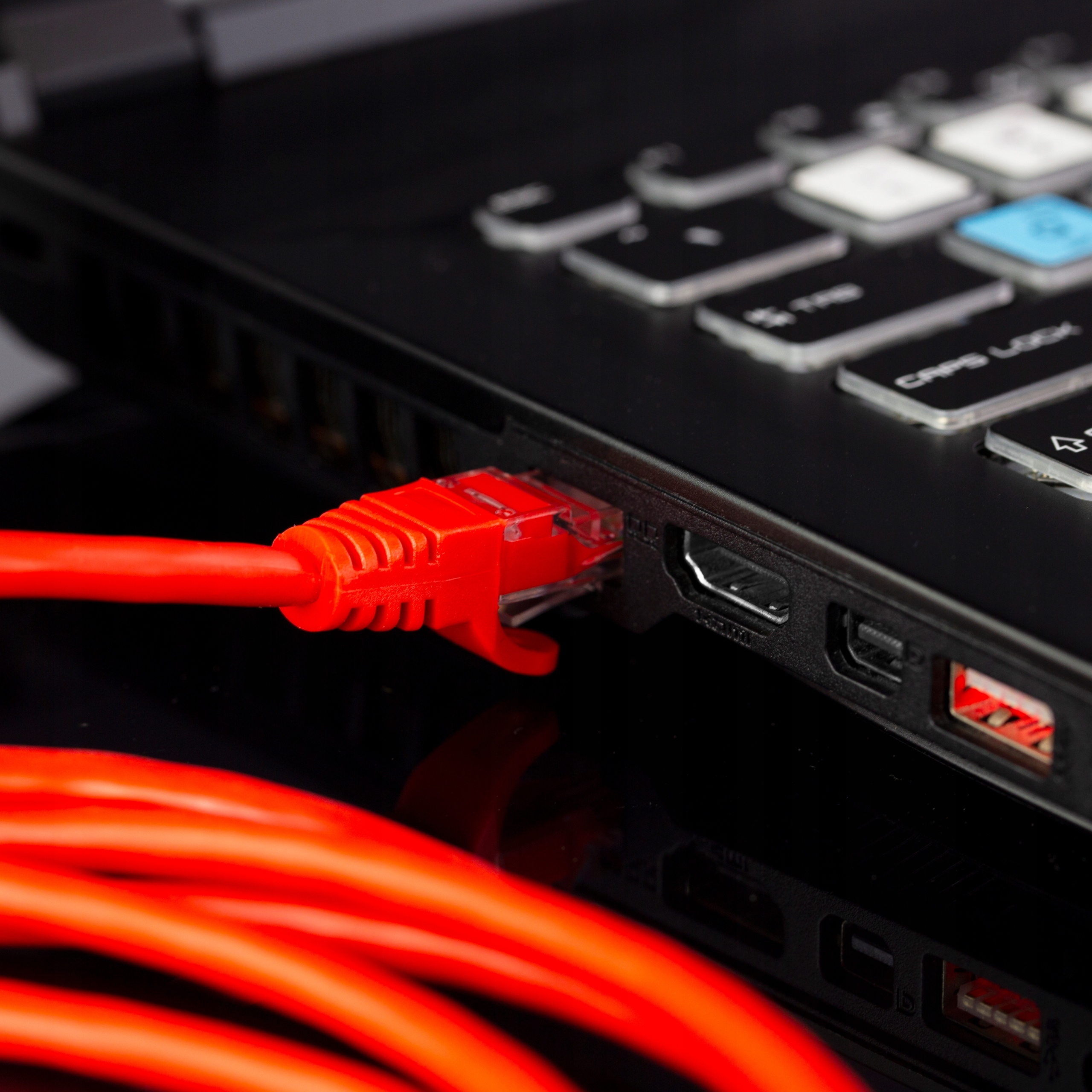 NEKU Kabel Patchcord UTP RJ45 kat.6 czerwony 3m Rodzaj przewodu UTP