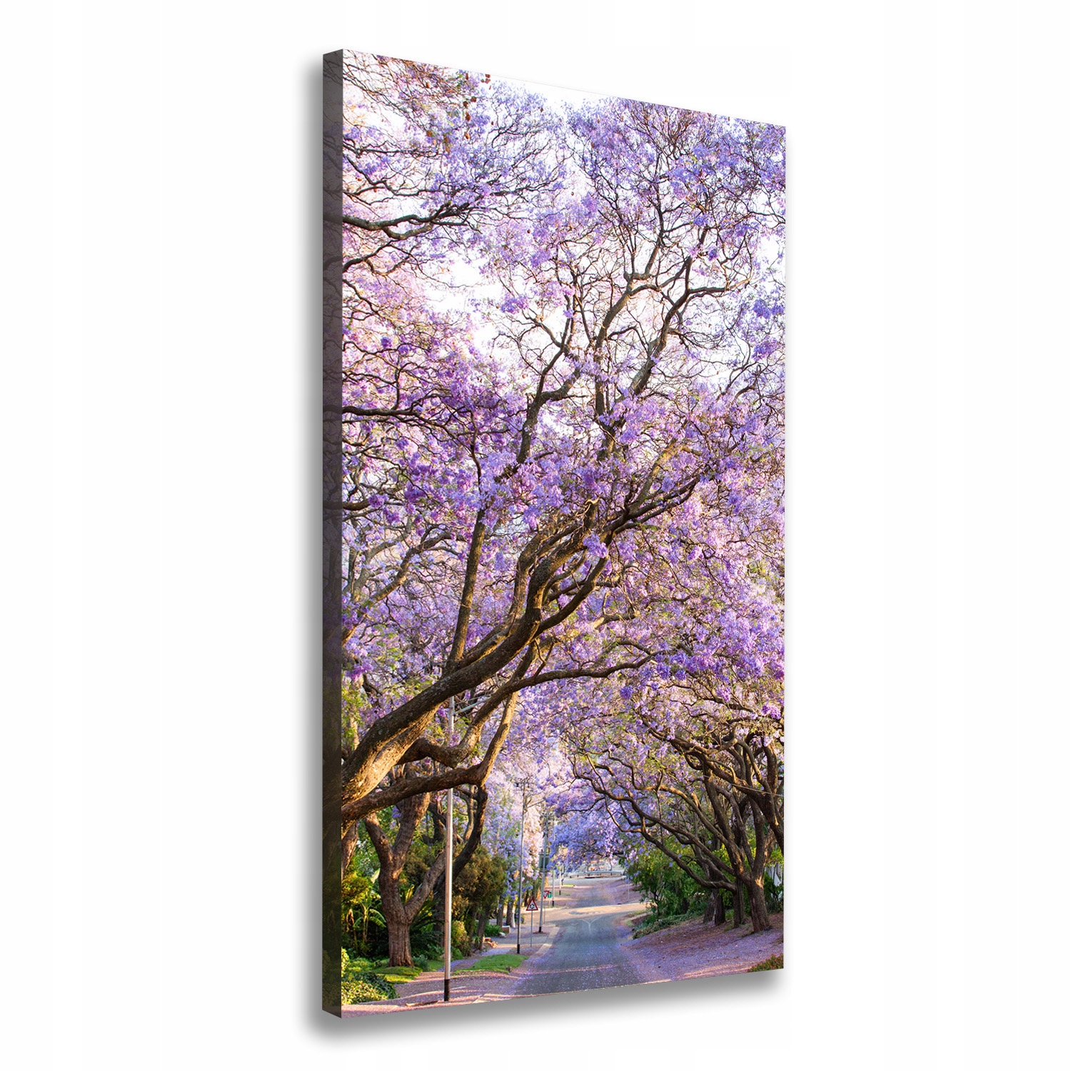 

Foto obraz na płótnie Ścieżka jakaranda 70x140 cm