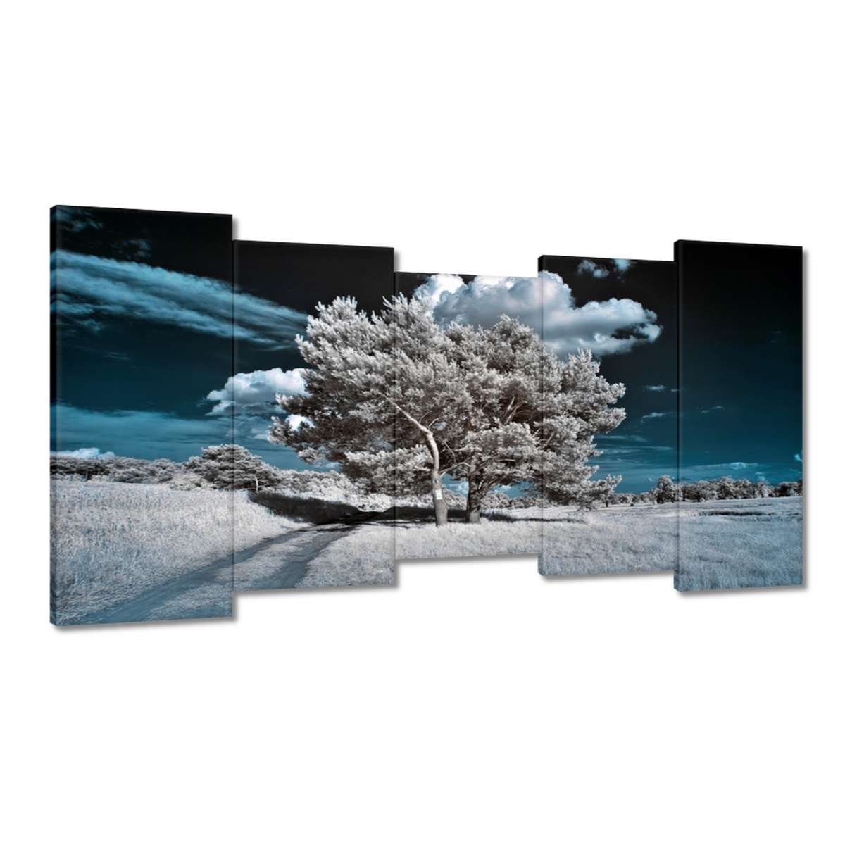 Obrazy 150x80 Stromek