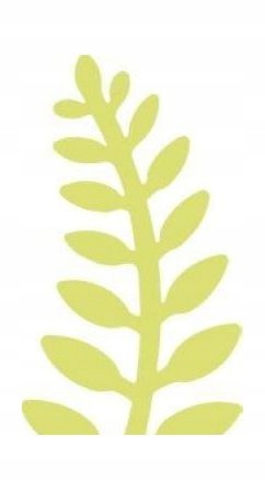 DZIURKACZ OZDOBNY 5CM PAPROĆ