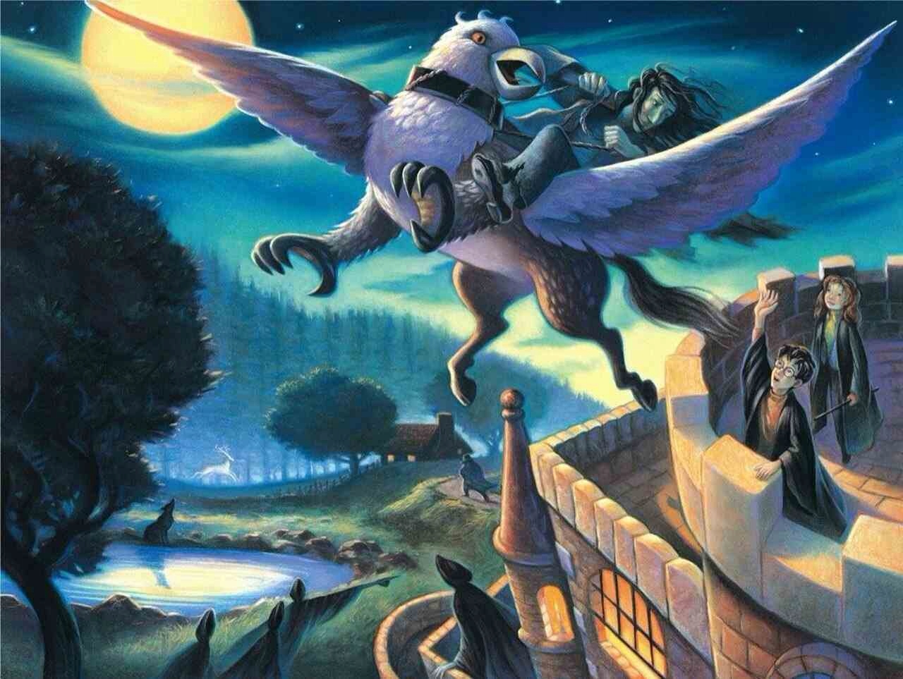 

Harry Potter Sirius Takes Flight Puzzle 1000