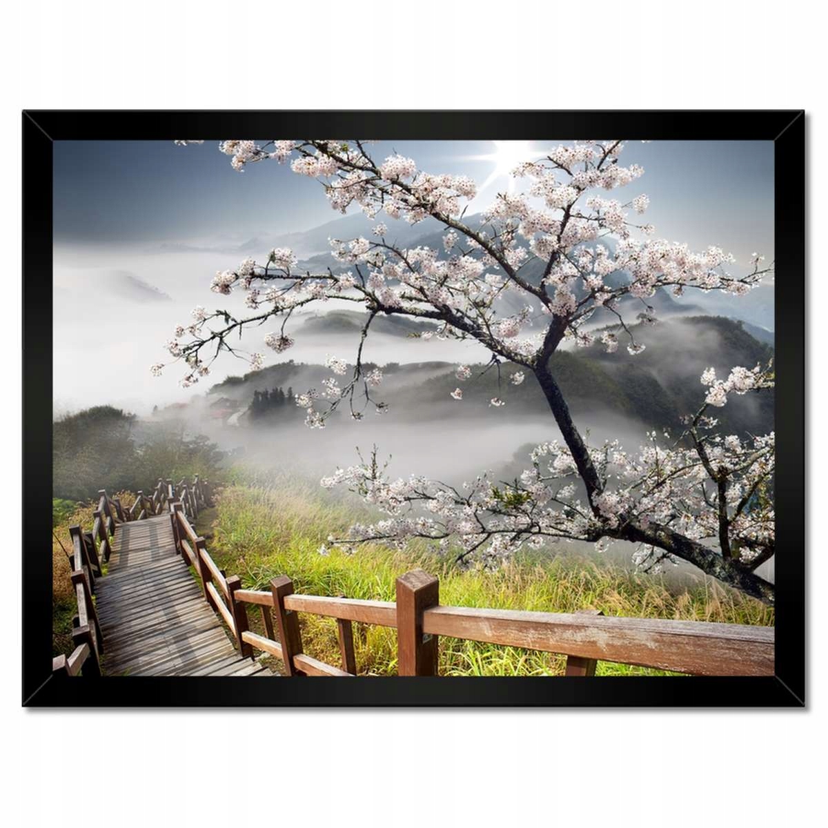 Plakáty v rámu 40x30 Japonsko Kvetoucí višeň