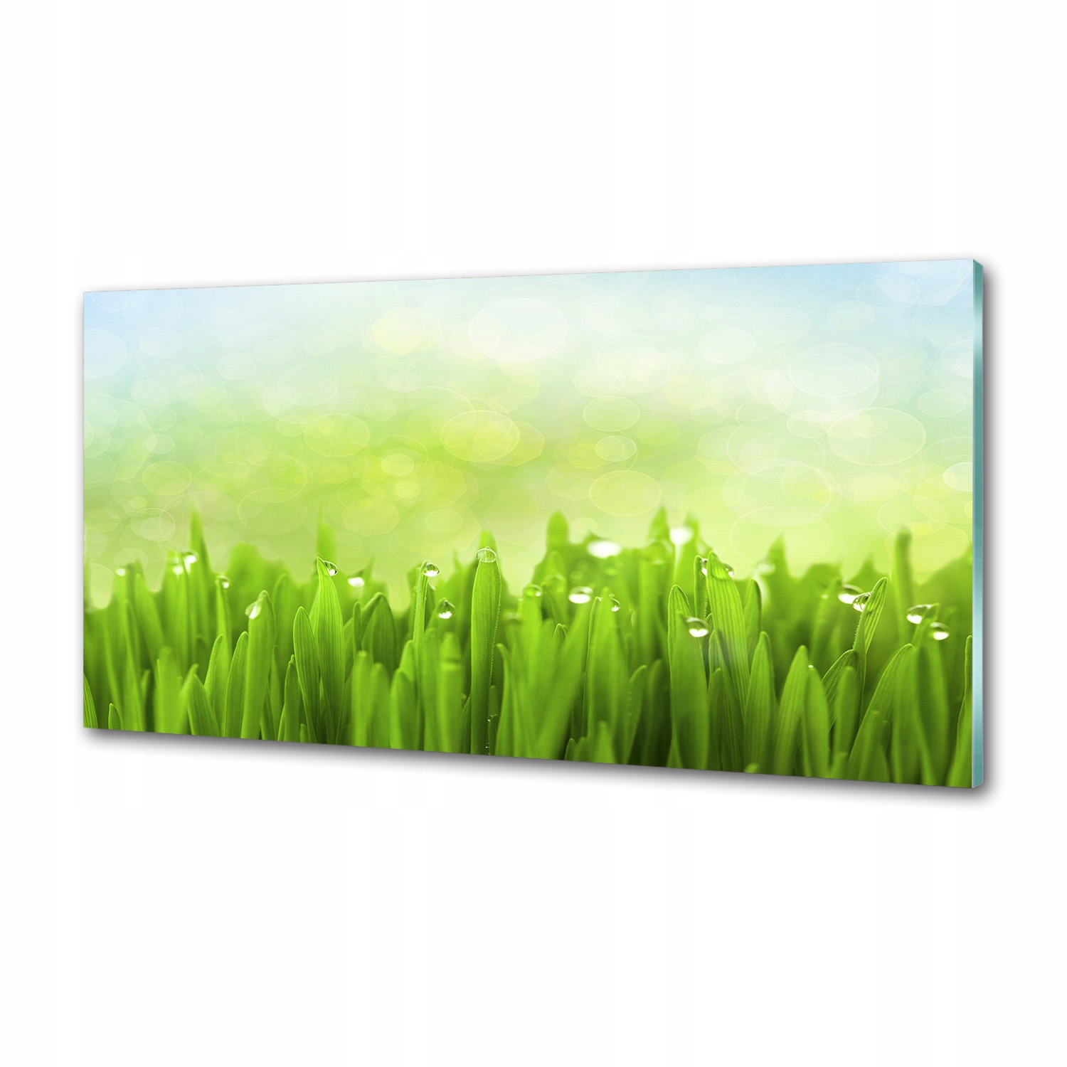 Sklenený panel do kuchyne Tráva 100 x 50 cm Lepidlo
