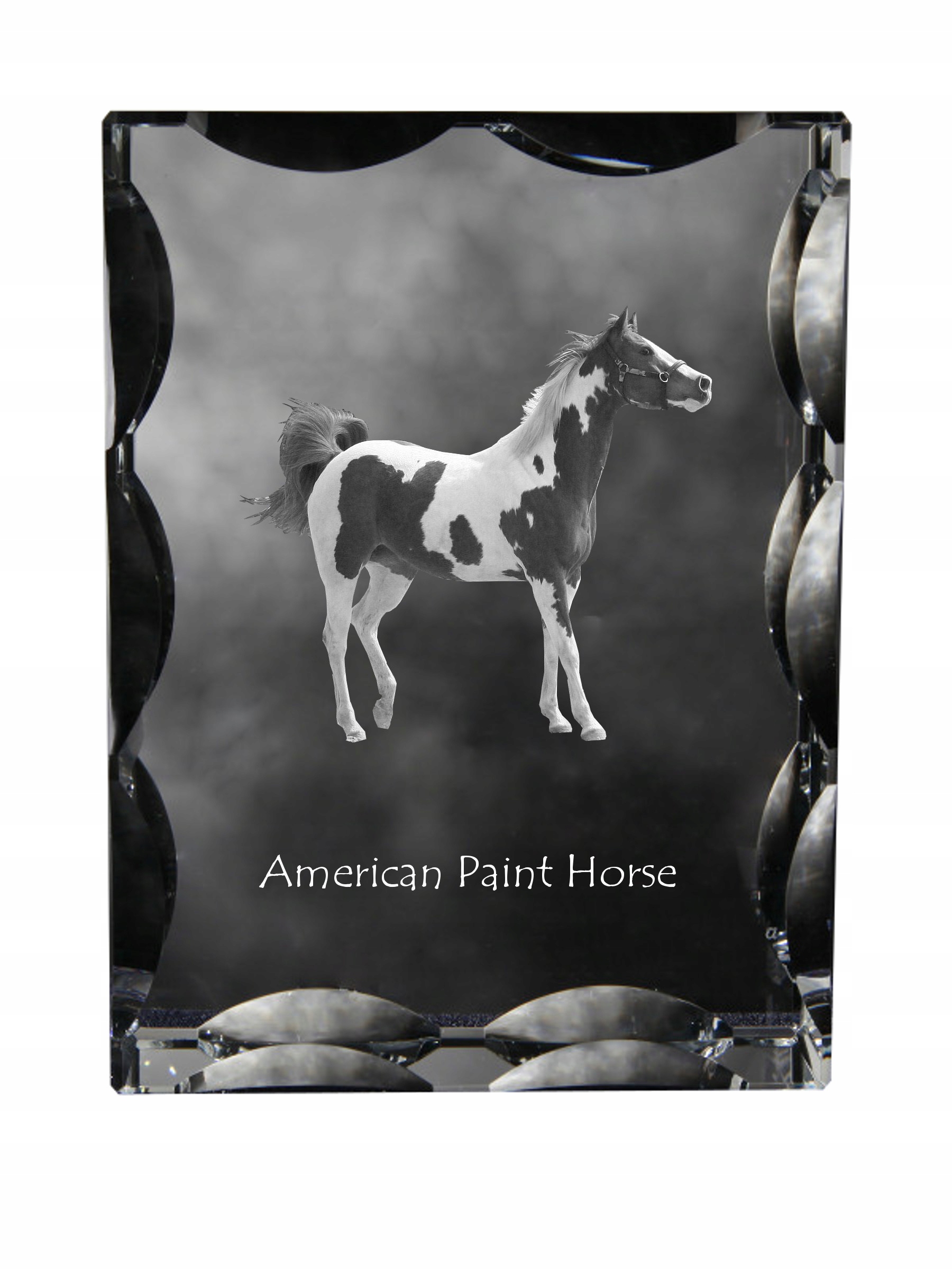 Kôň American Paint fotografia v ozdobnom kryštáli, suvenír, dekorácia domu