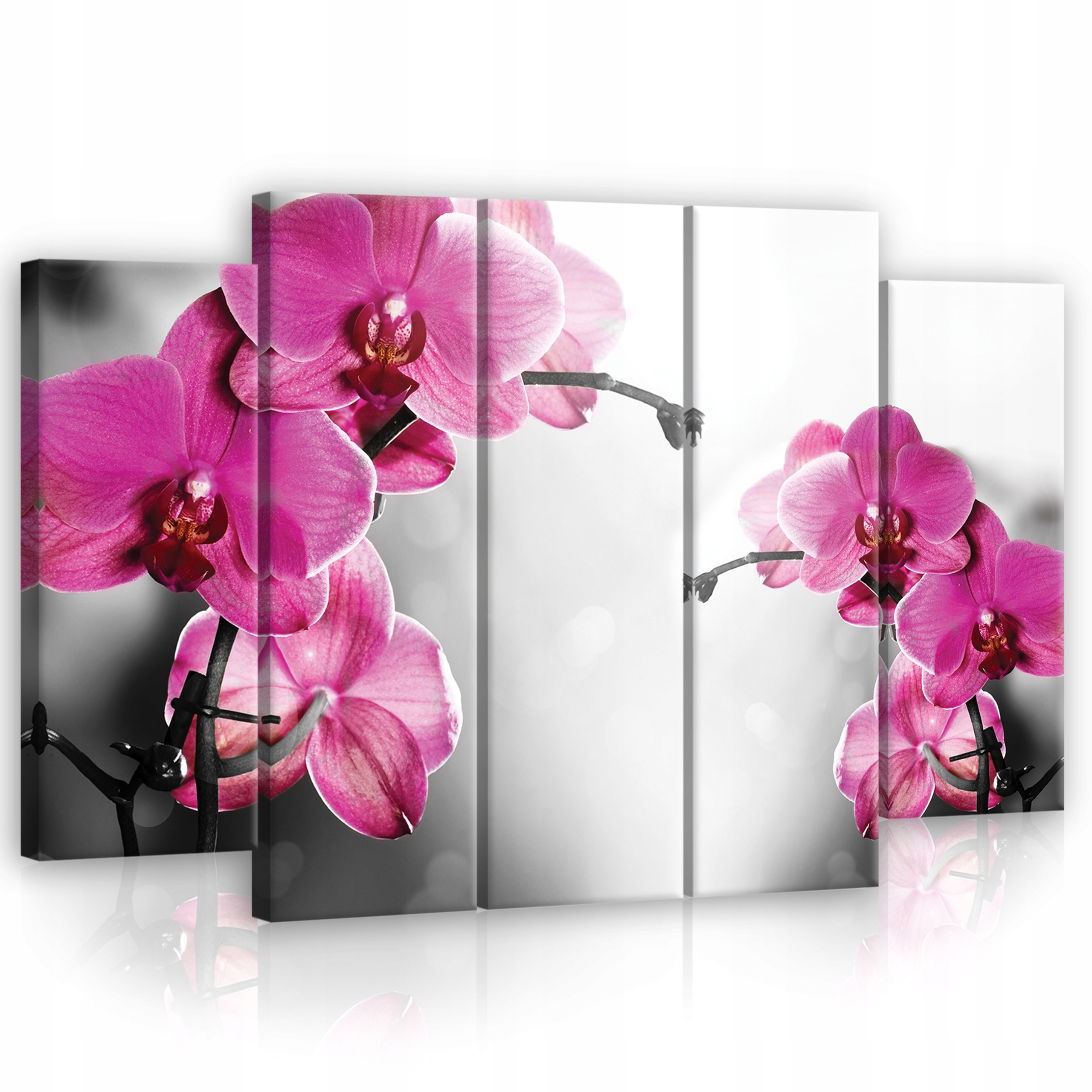 Obraz 5 dílů Orchidej Moderní Velký 150x100