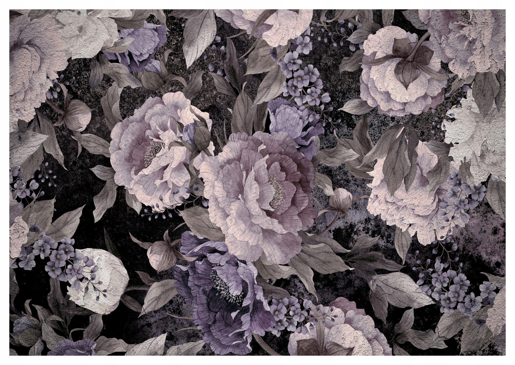 Fototapeta Pivoňky odstíny růžové a fialové na tmavém pozadí vinylová 208x146 lepidlo