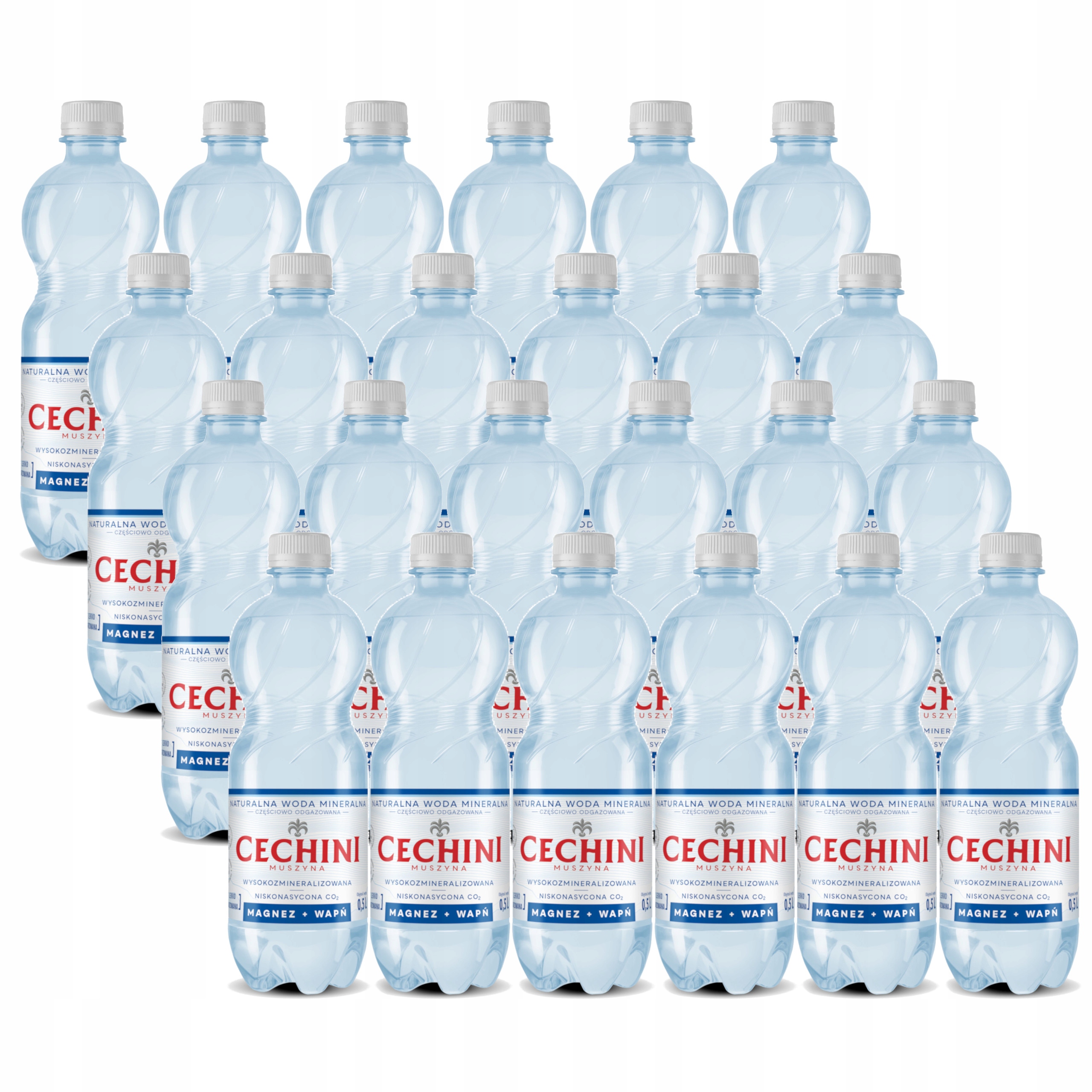 Levně 24x Nízkonasycená voda Cechini Muszyna s vysokou mineralizací 0,5 l