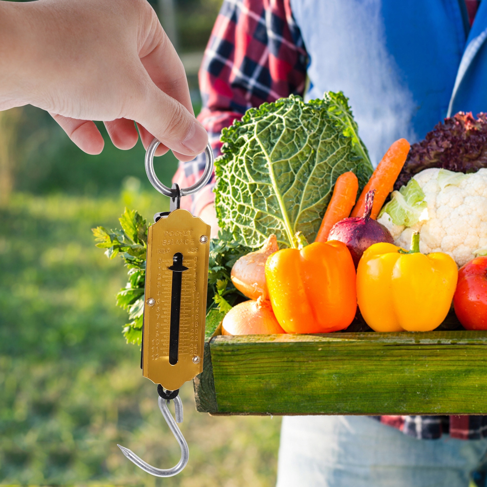 SKALA WIOSNA SKALA WISZĄCA MAŁA SKALA ŁUSKA RYBY Model 46274964