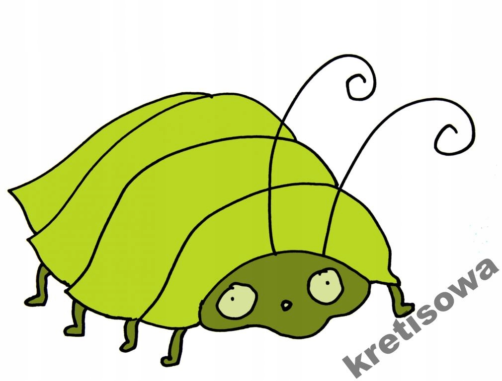 

Damska Mucha Komar I Inne Owady Wzory Hit o1a