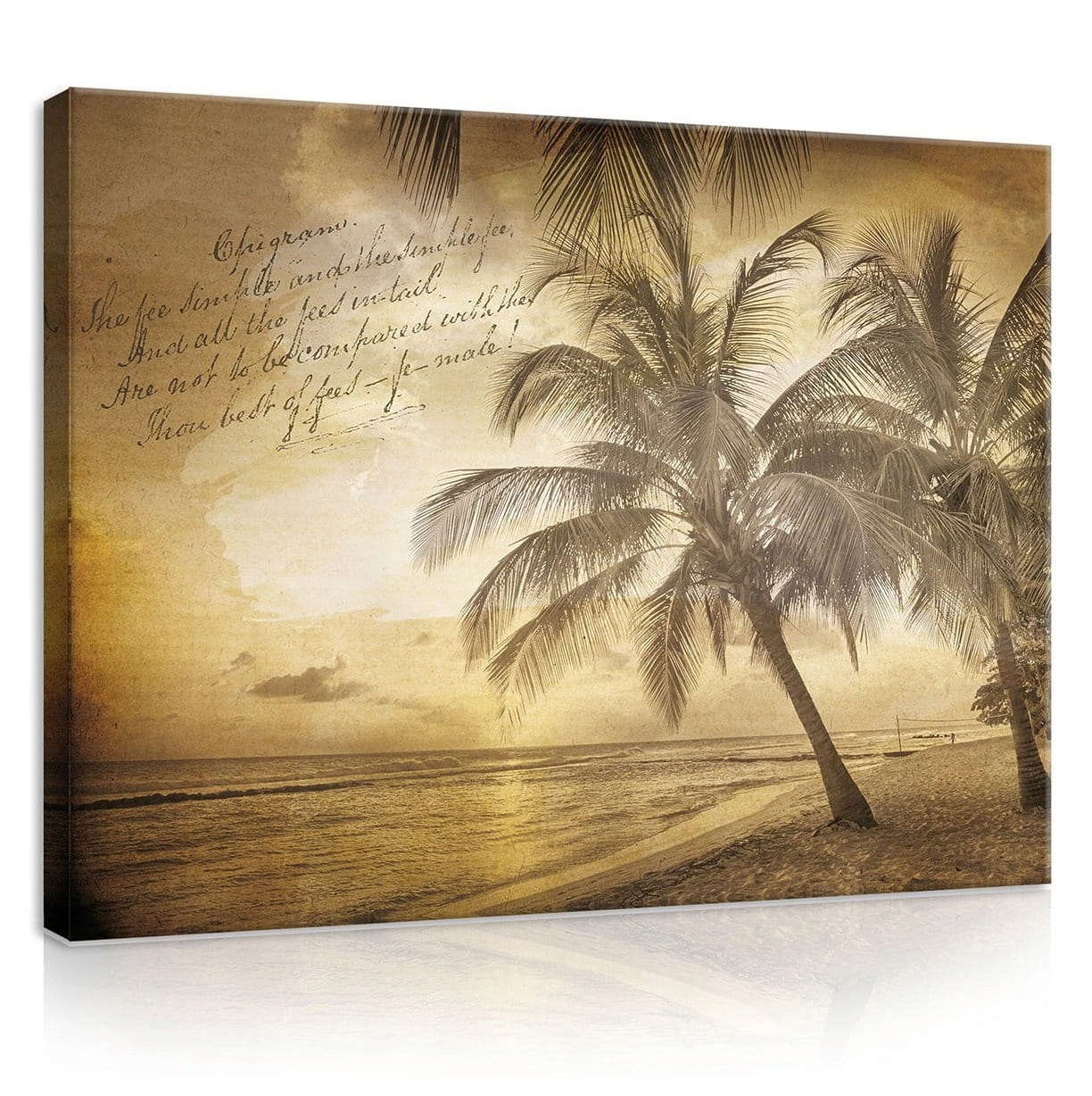 Obraz 100x75 Tropická krajina palmy pláž západ slunce oceán moře